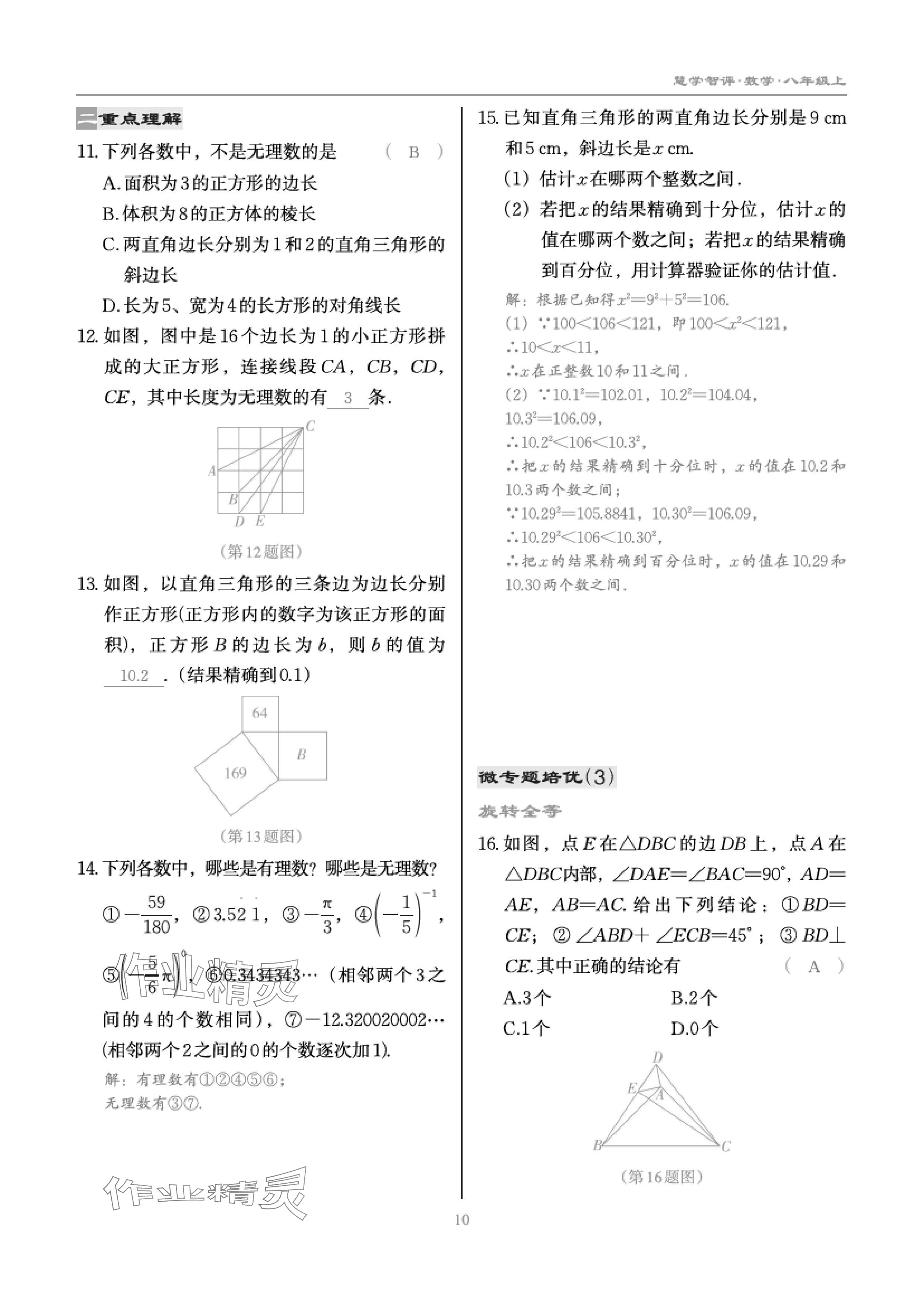 2024年慧學(xué)智評(píng)八年級(jí)數(shù)學(xué)上冊(cè)北師大版 參考答案第18頁(yè)