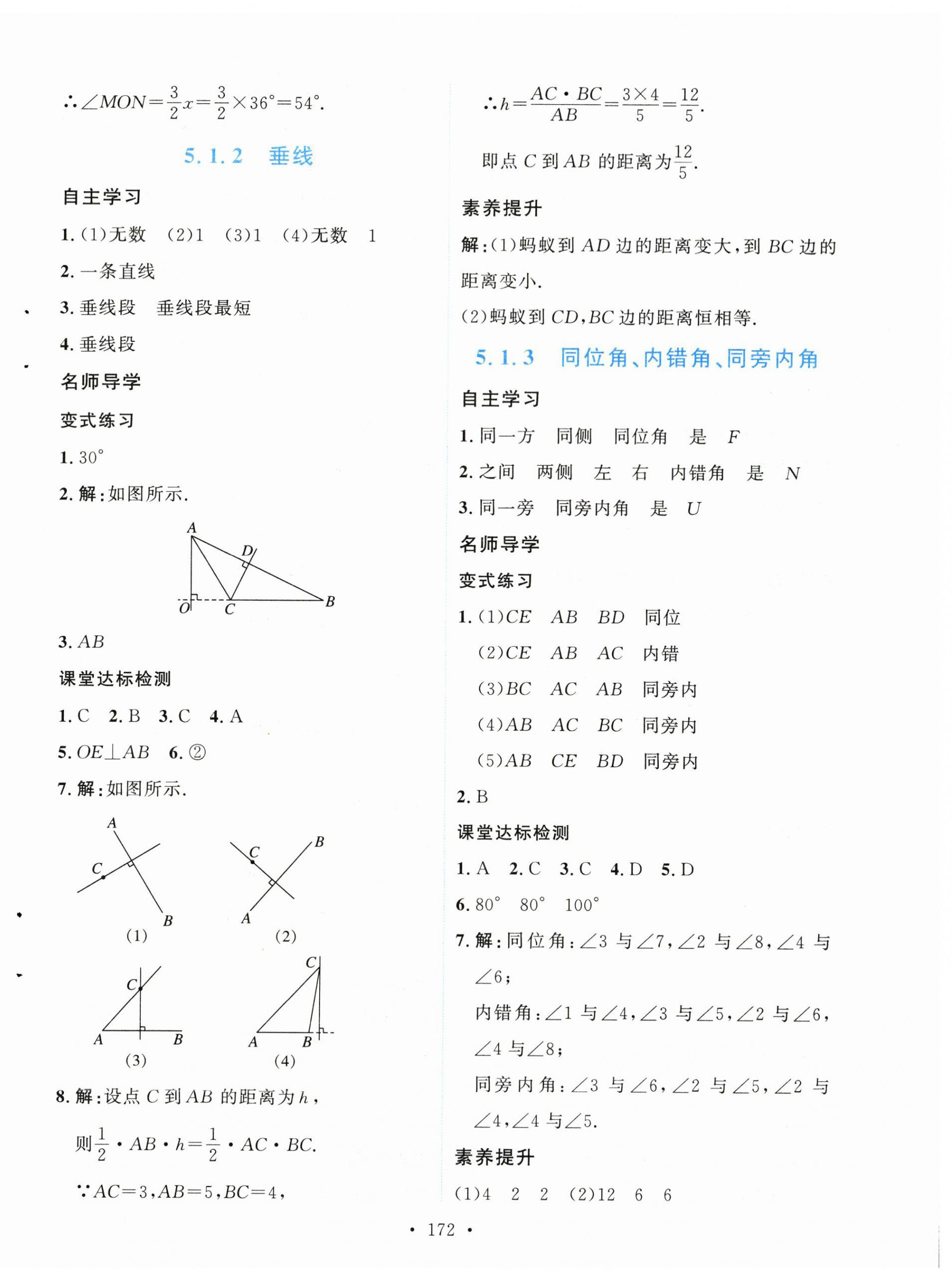 2024年實(shí)驗(yàn)教材新學(xué)案七年級(jí)數(shù)學(xué)下冊(cè)人教版 第2頁