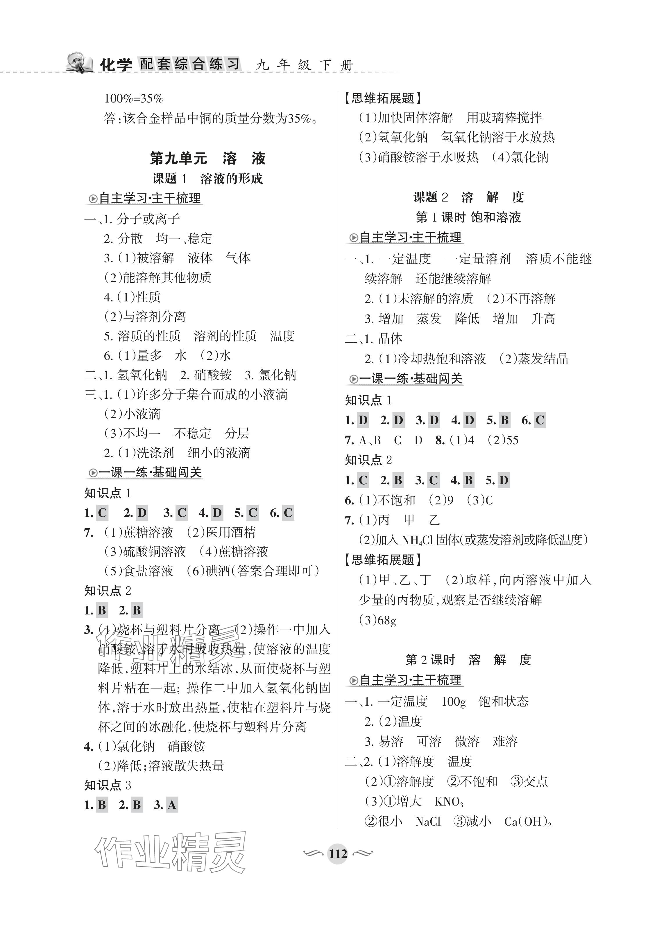 2024年配套綜合練習(xí)甘肅九年級化學(xué)下冊人教版 參考答案第4頁