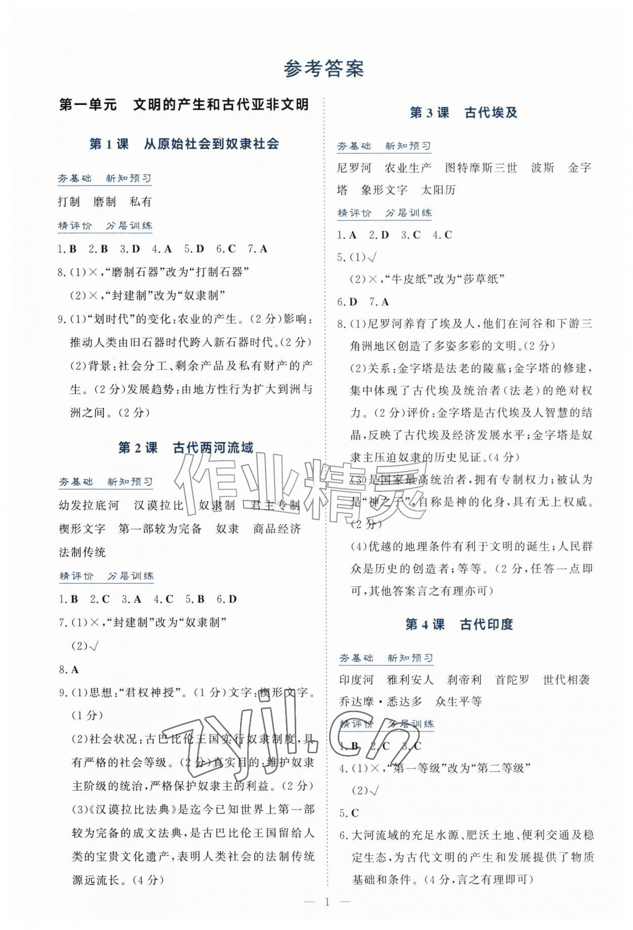 2026年同步导学与训练九年级历史上册人教版安徽专版&nbsp;第1页