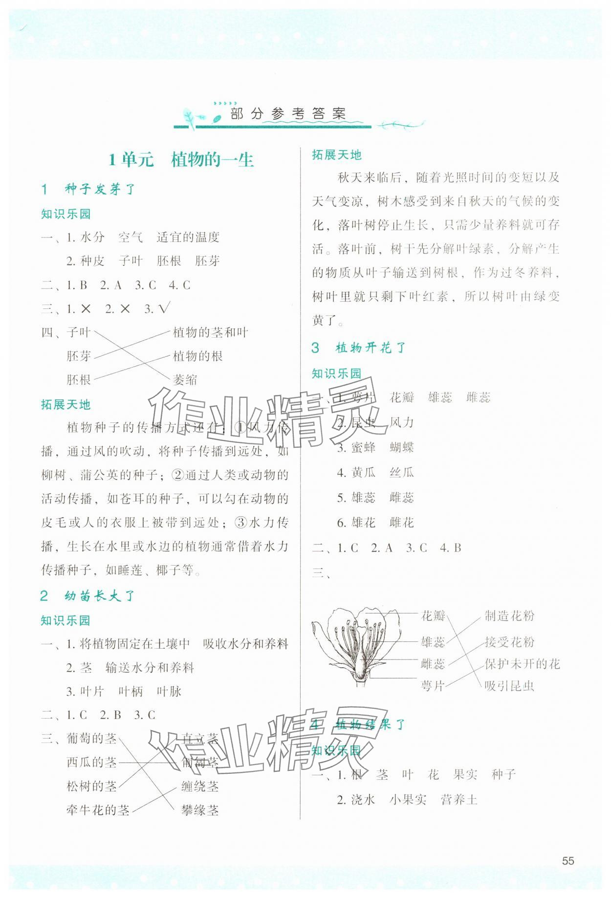 2025年新课程学习与评价三年级科学下册苏教版 第1页