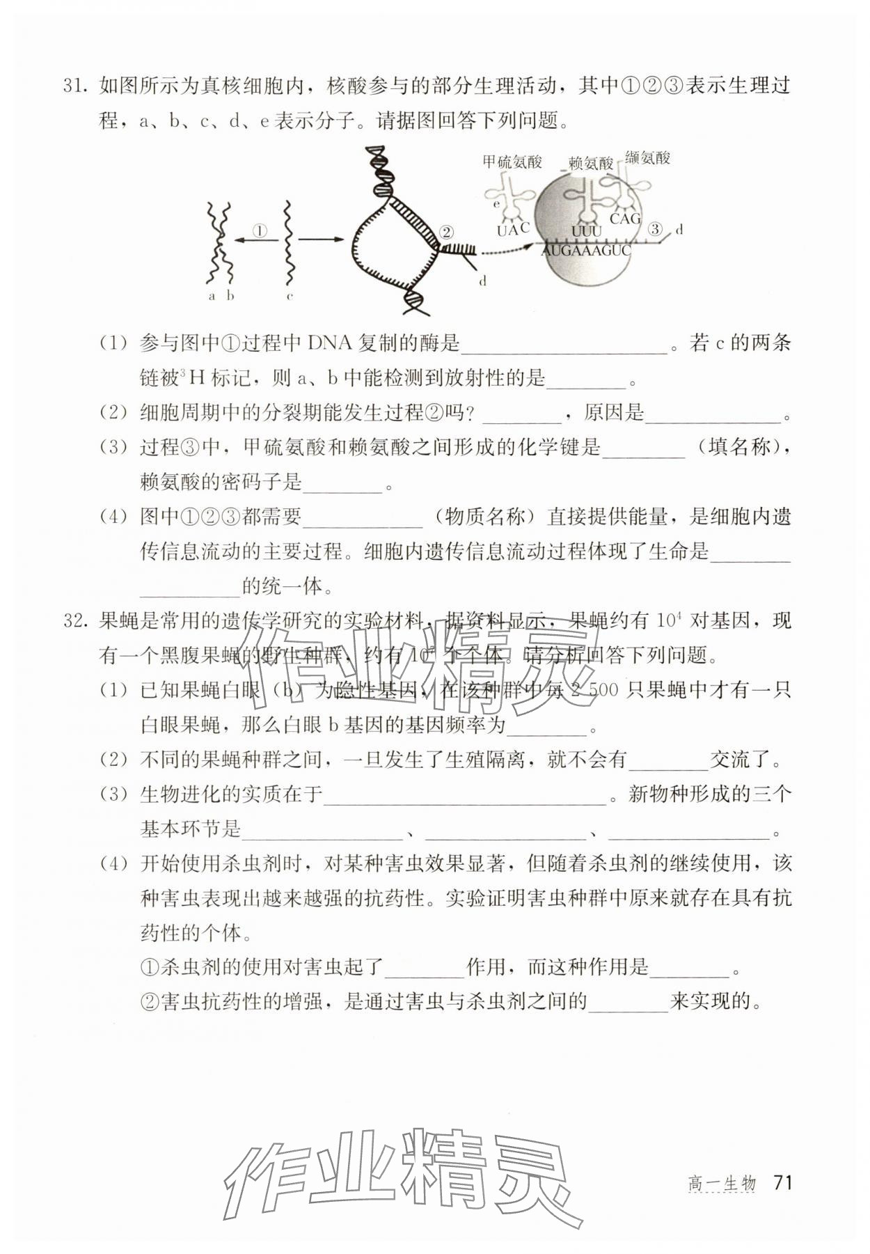 2025年新課堂暑假生活北京教育出版社高一生物 第1頁