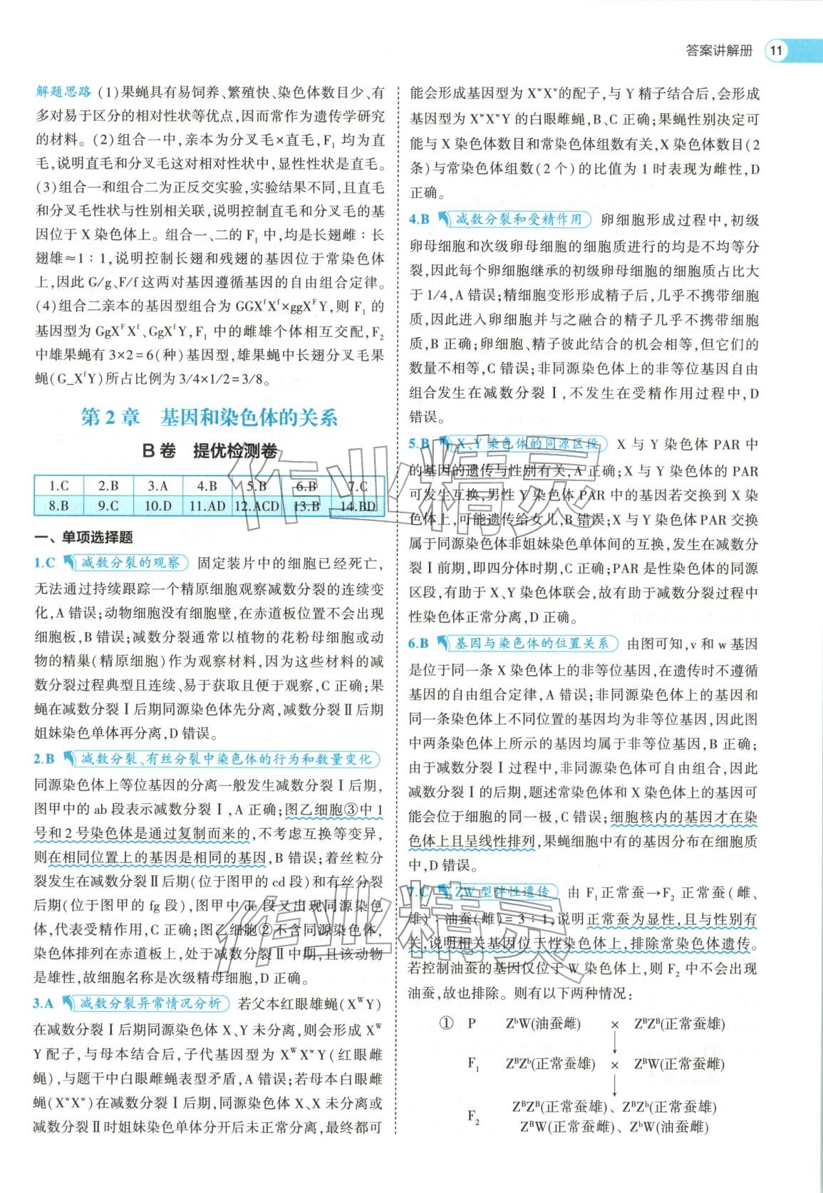 2026年53高中全优卷高中生物必修第二册人教版&nbsp;第11页