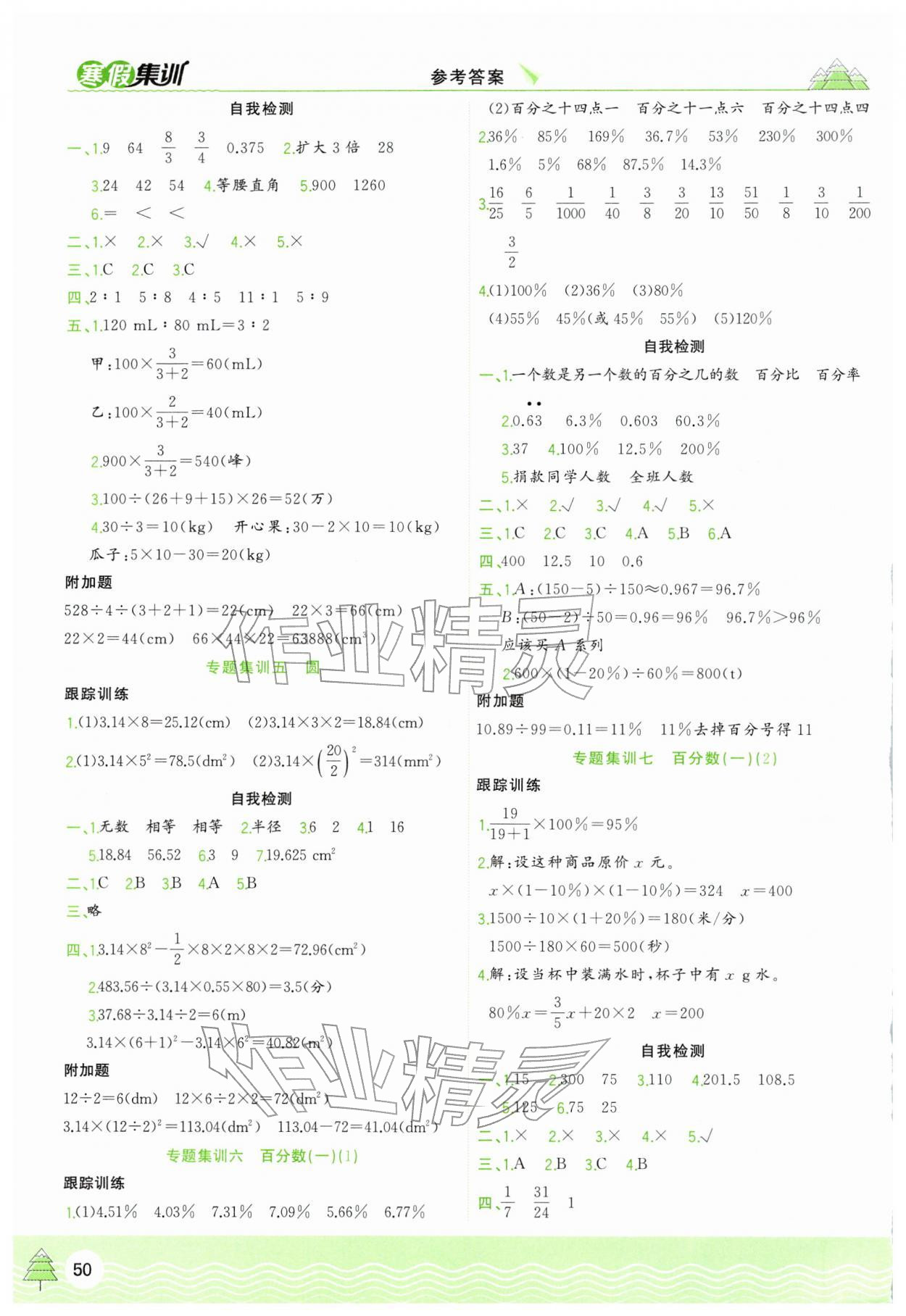 2026年寒假集训合肥工业大学出版社六年级数学人教版&nbsp;第2页