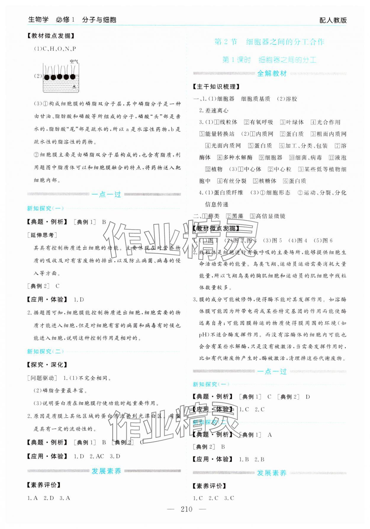 2023年新課程學(xué)習(xí)指導(dǎo)高中生物必修1人教版 第6頁