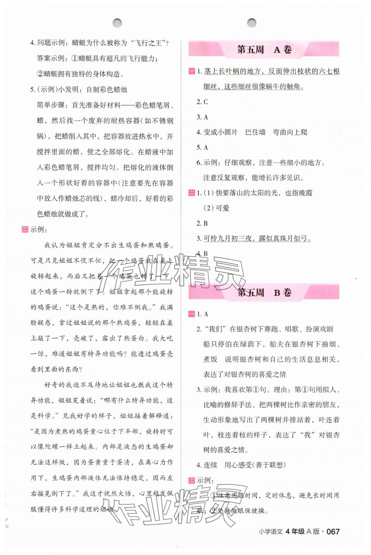 2025年木頭馬閱讀小卷四年級(jí)語文A版&nbsp;第3頁(yè)