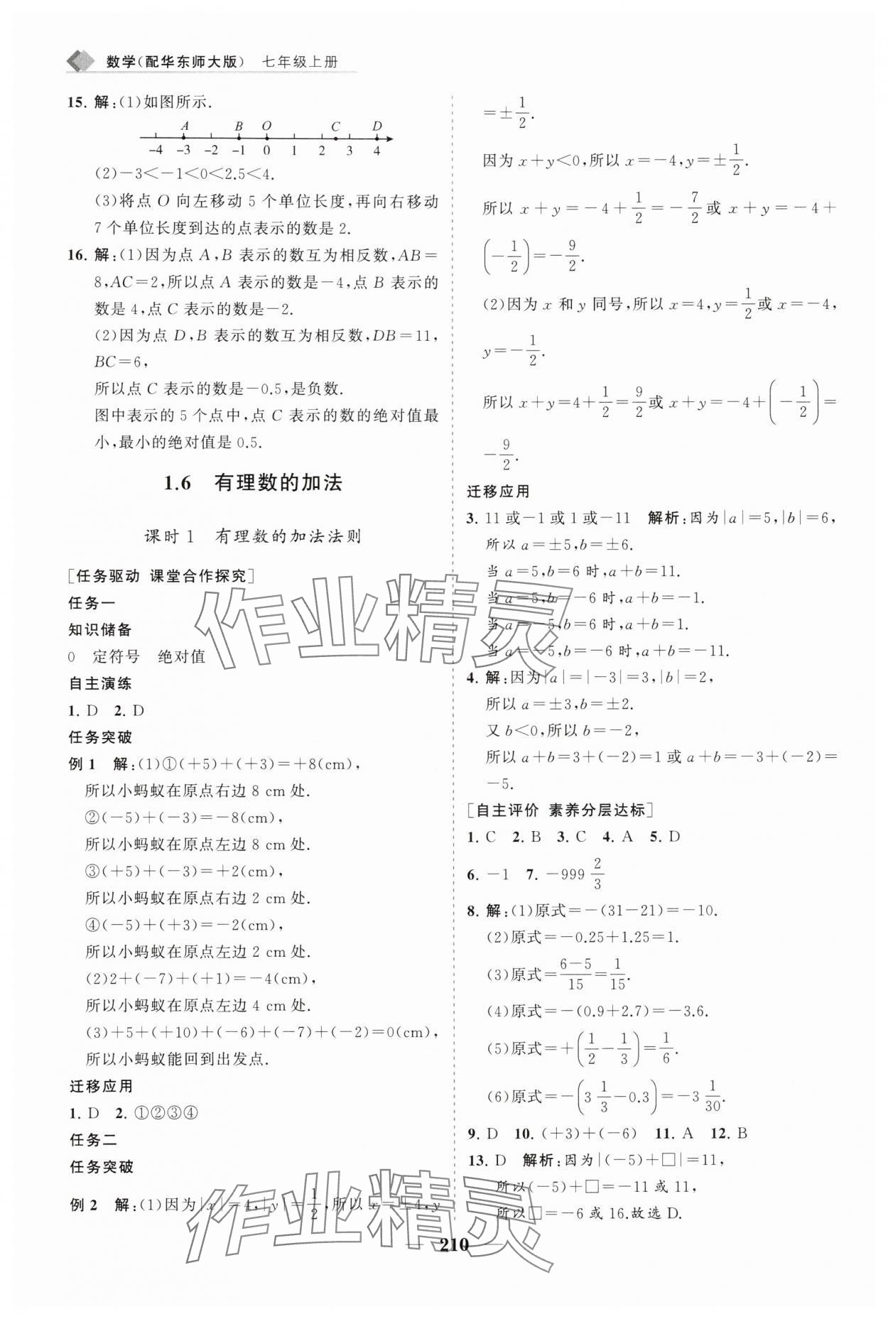 2025年新课程同步练习册七年级数学上册华师大版&nbsp;第6页