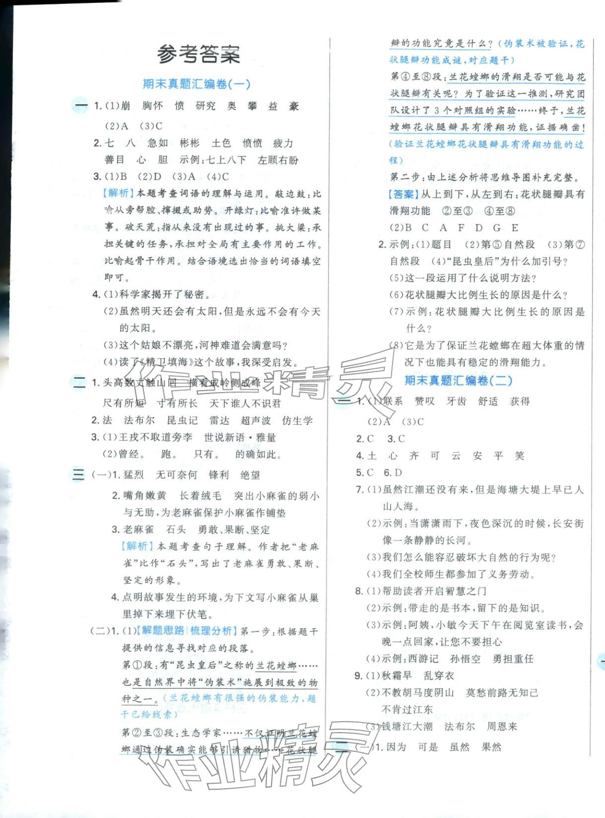 2025年期末好卷四年级语文上册人教版 参考答案第1页