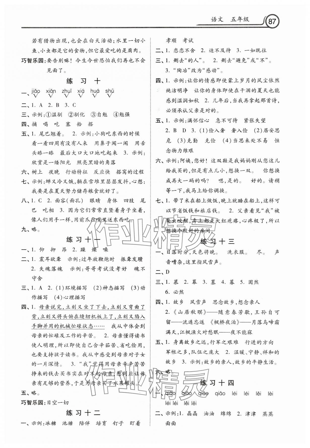 2025年寒假作業(yè)河北美術(shù)出版社五年級(jí)語(yǔ)文 第3頁(yè)