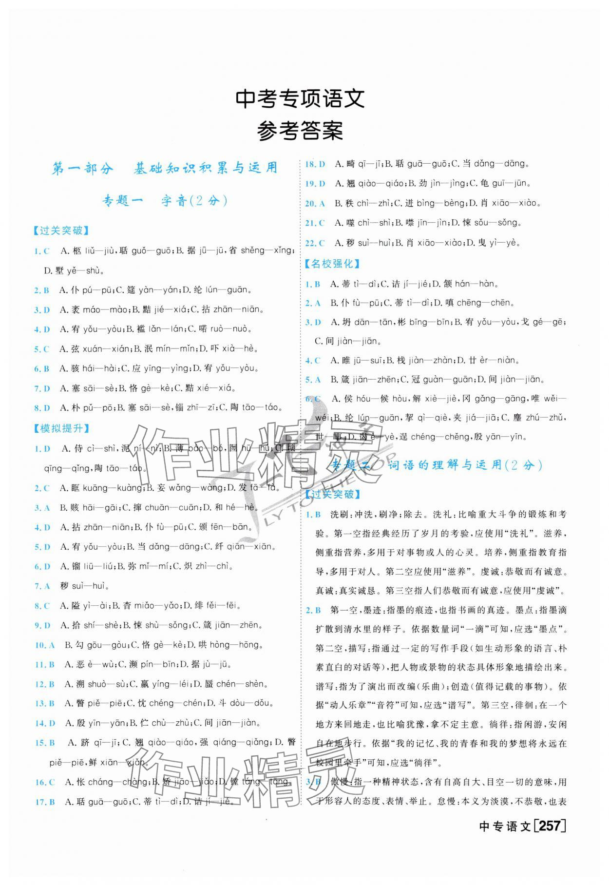 2025年一飛沖天中考專項(xiàng)精品試題分類語文 參考答案第1頁