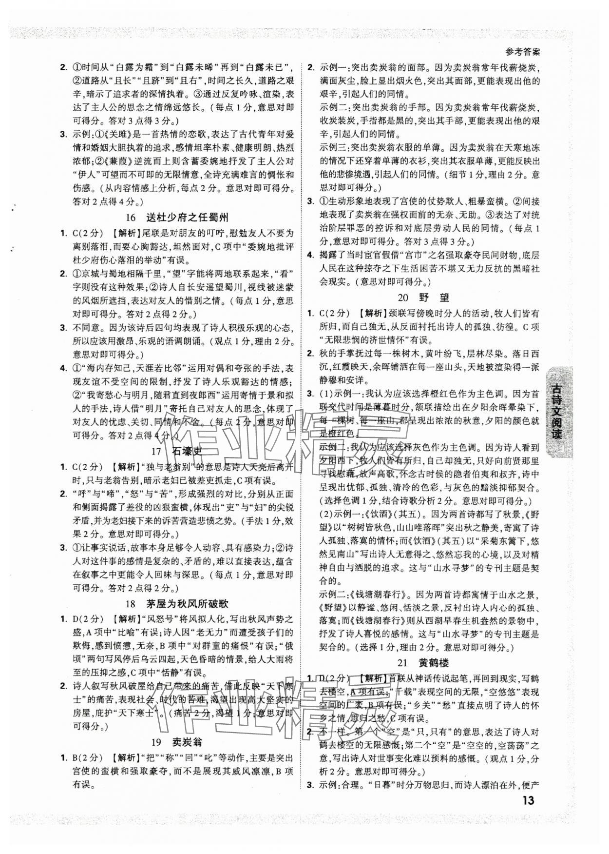 2025年萬唯中考試題研究語文廣西專版 參考答案第13頁