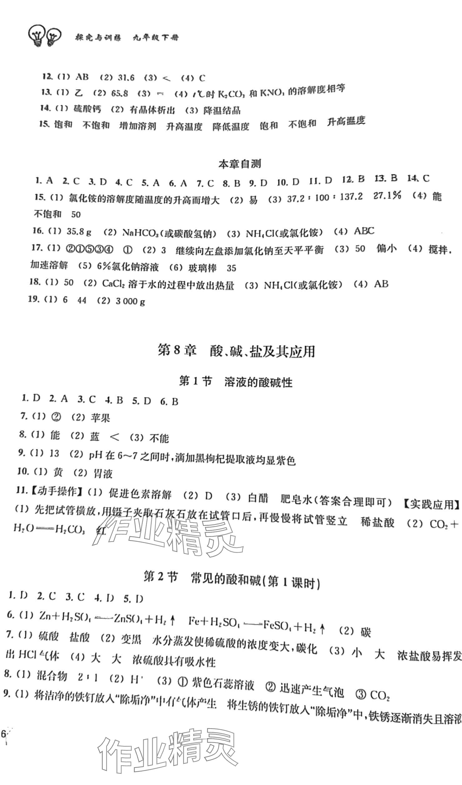 2025年探究与训练九年级化学下册沪教版 参考答案第3页