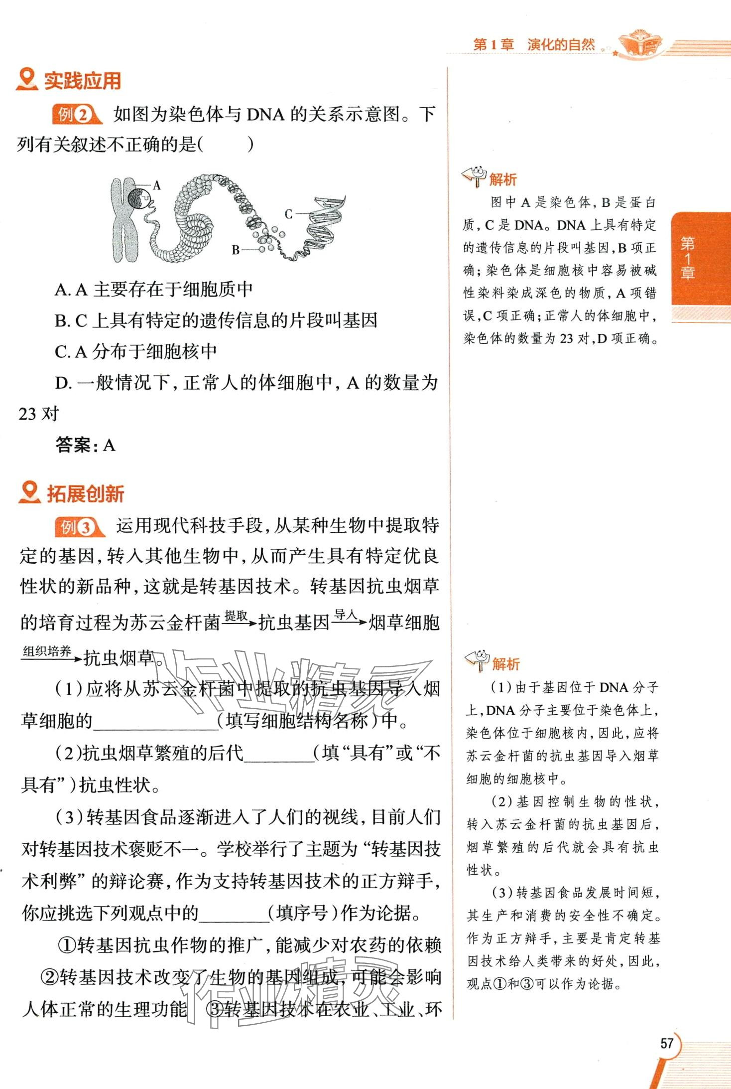 2024年教材全解九年級科學下冊浙教版 第57頁