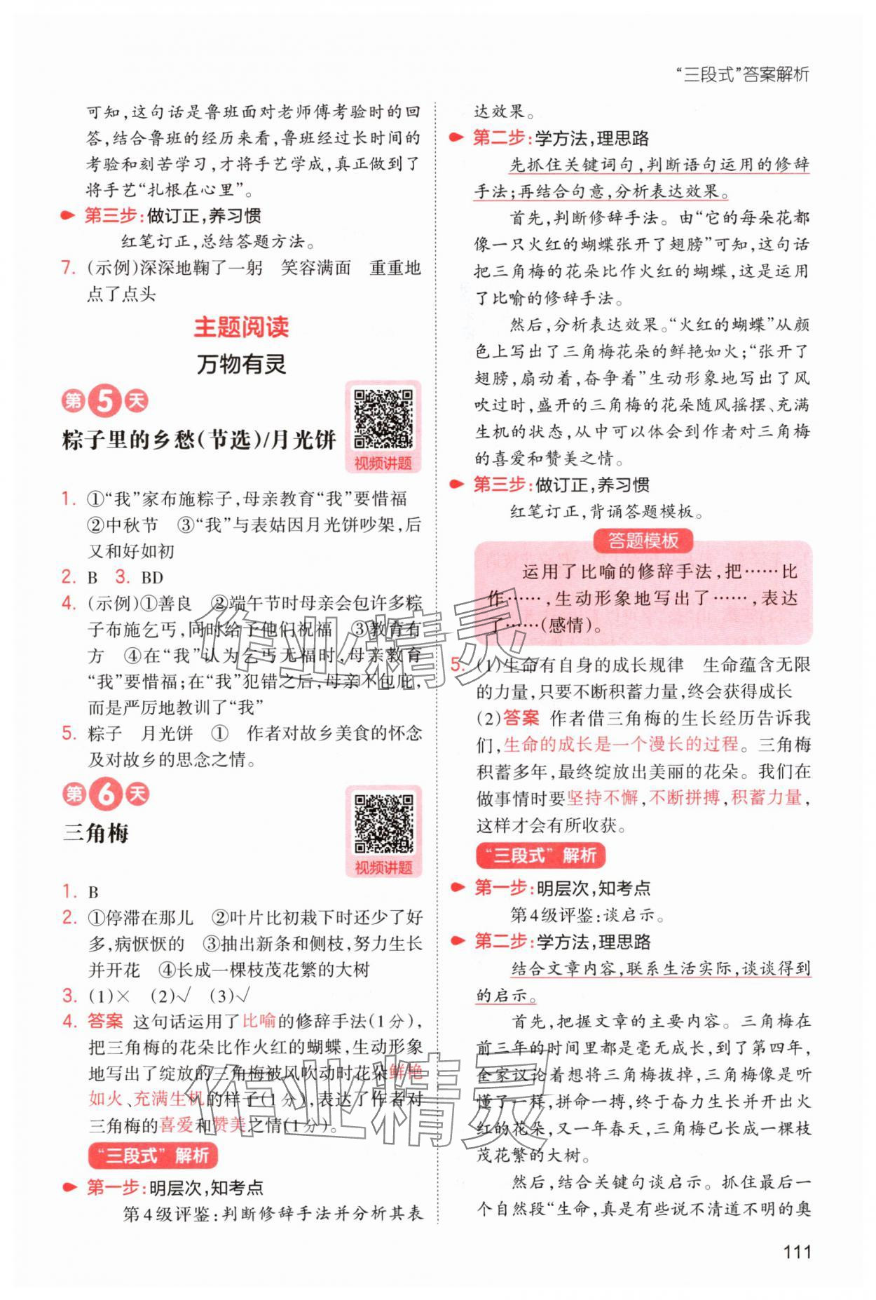 2025年一本4升5语文人教版暑假阅读福建专版 第5页