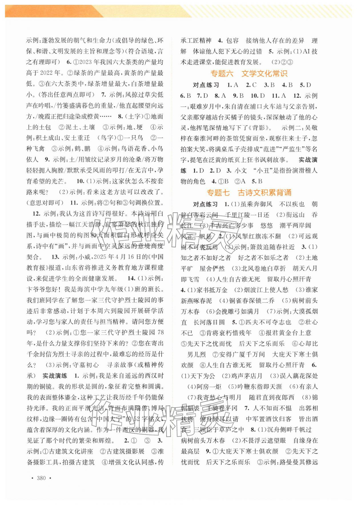 2026年中考指南总复习语文&nbsp;第2页