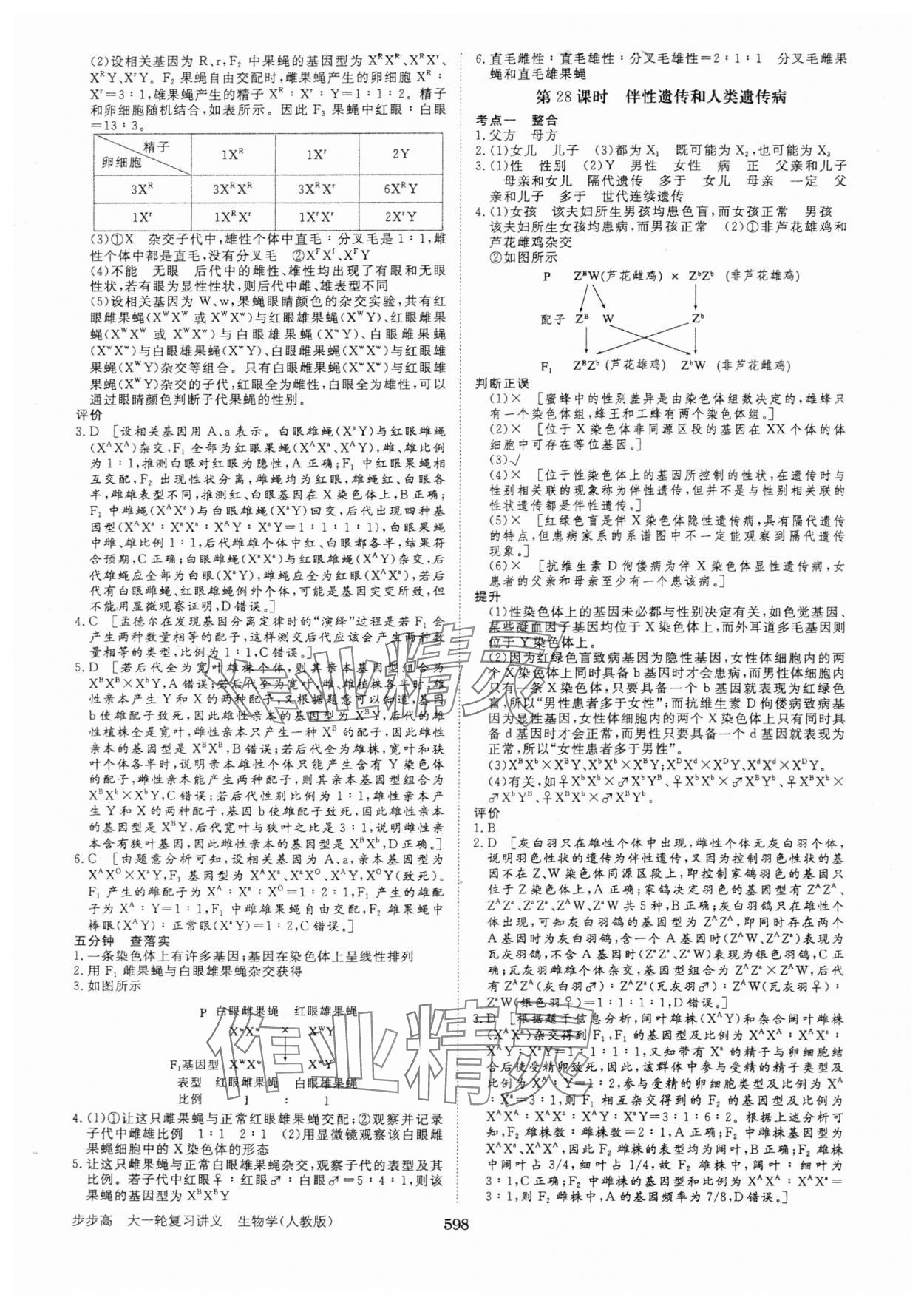 2025年步步高大一輪復(fù)習(xí)講義生物人教版 第22頁