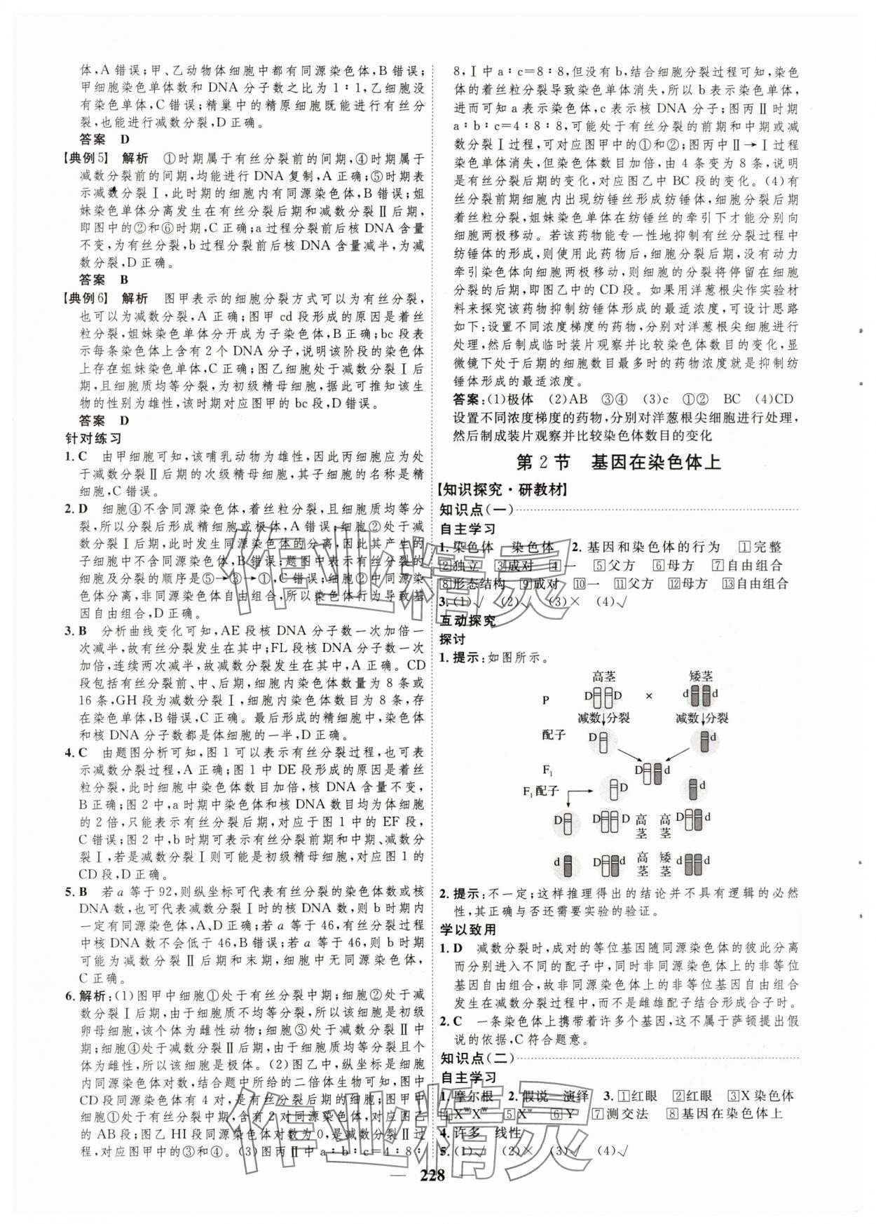 2024年三維設(shè)計(jì)生物必修2遺傳與進(jìn)化 參考答案第12頁