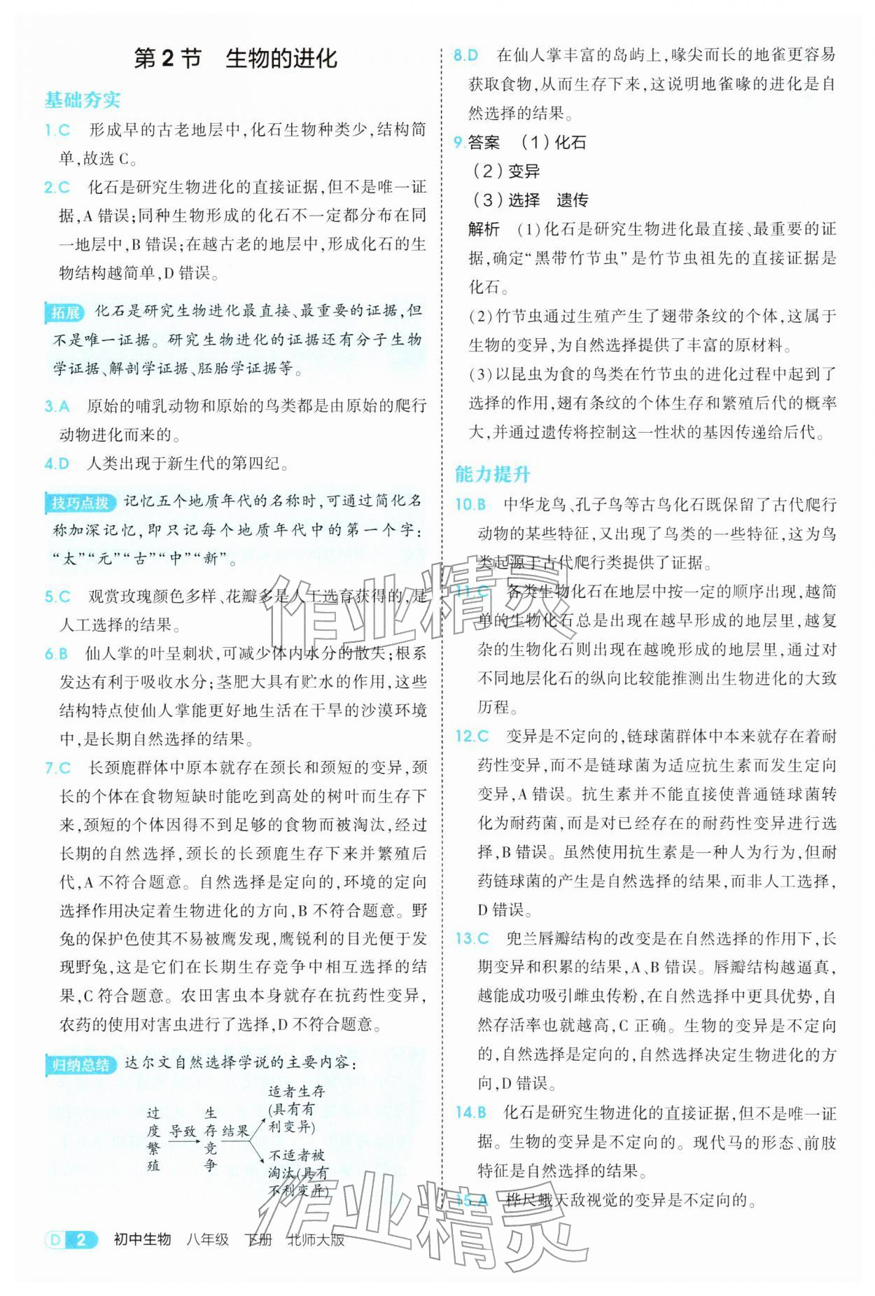 2026年5年中考3年模拟八年级生物下册北师大版&nbsp;参考答案第2页