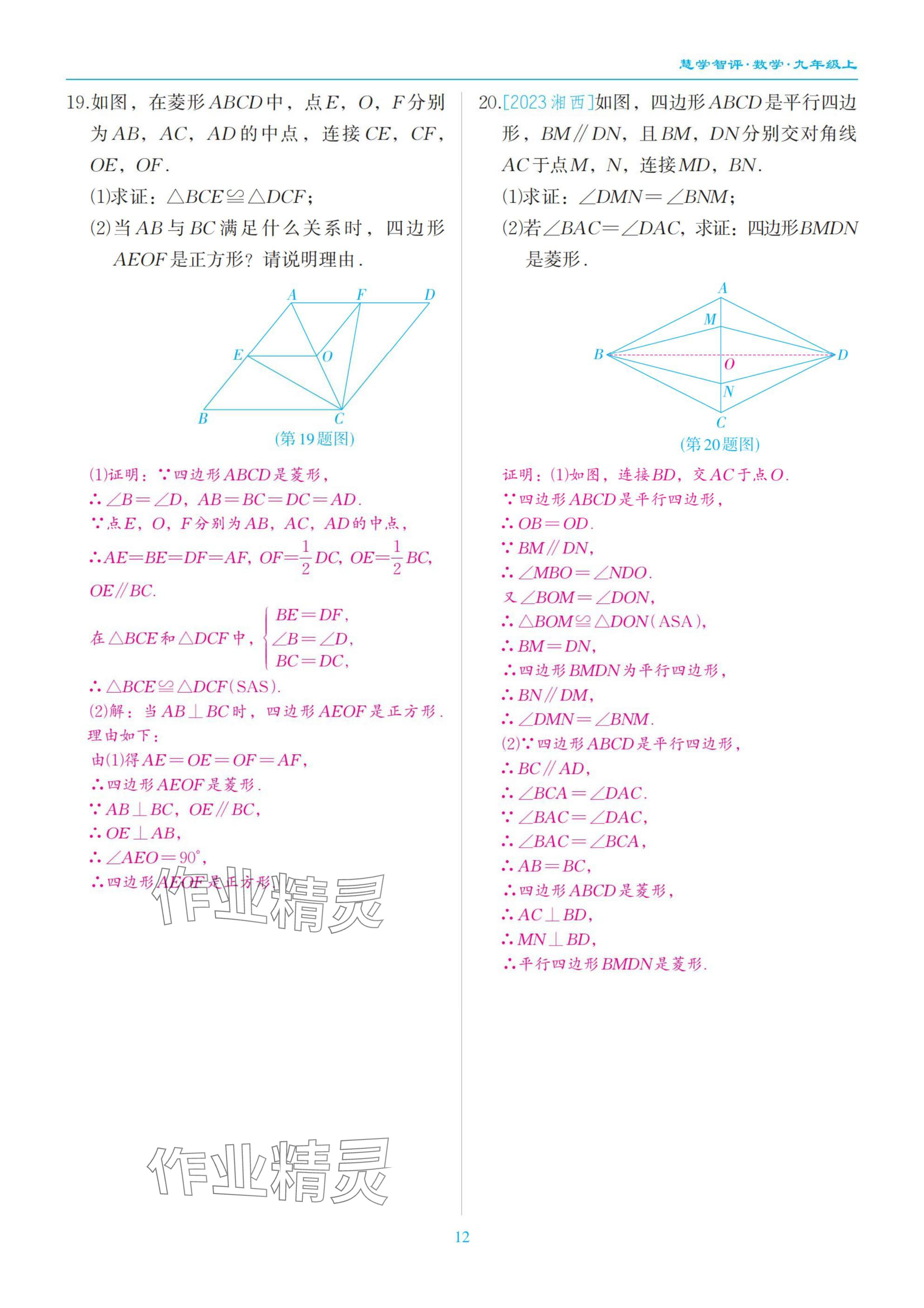 2025年慧學智評九年級數學上冊北師大版 參考答案第12頁