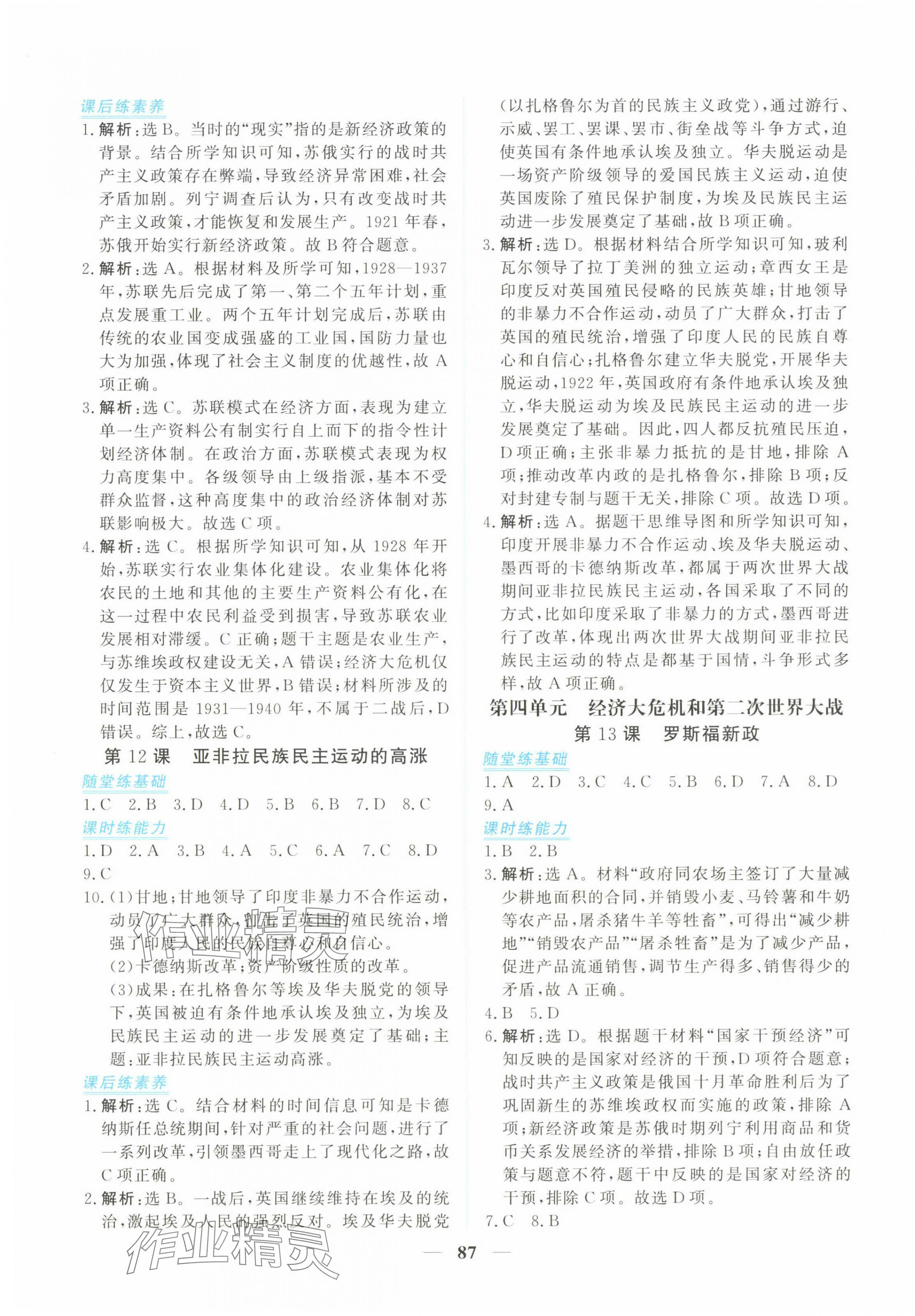 2025年新坐標同步練習九年級歷史下冊人教版青海專用 第7頁