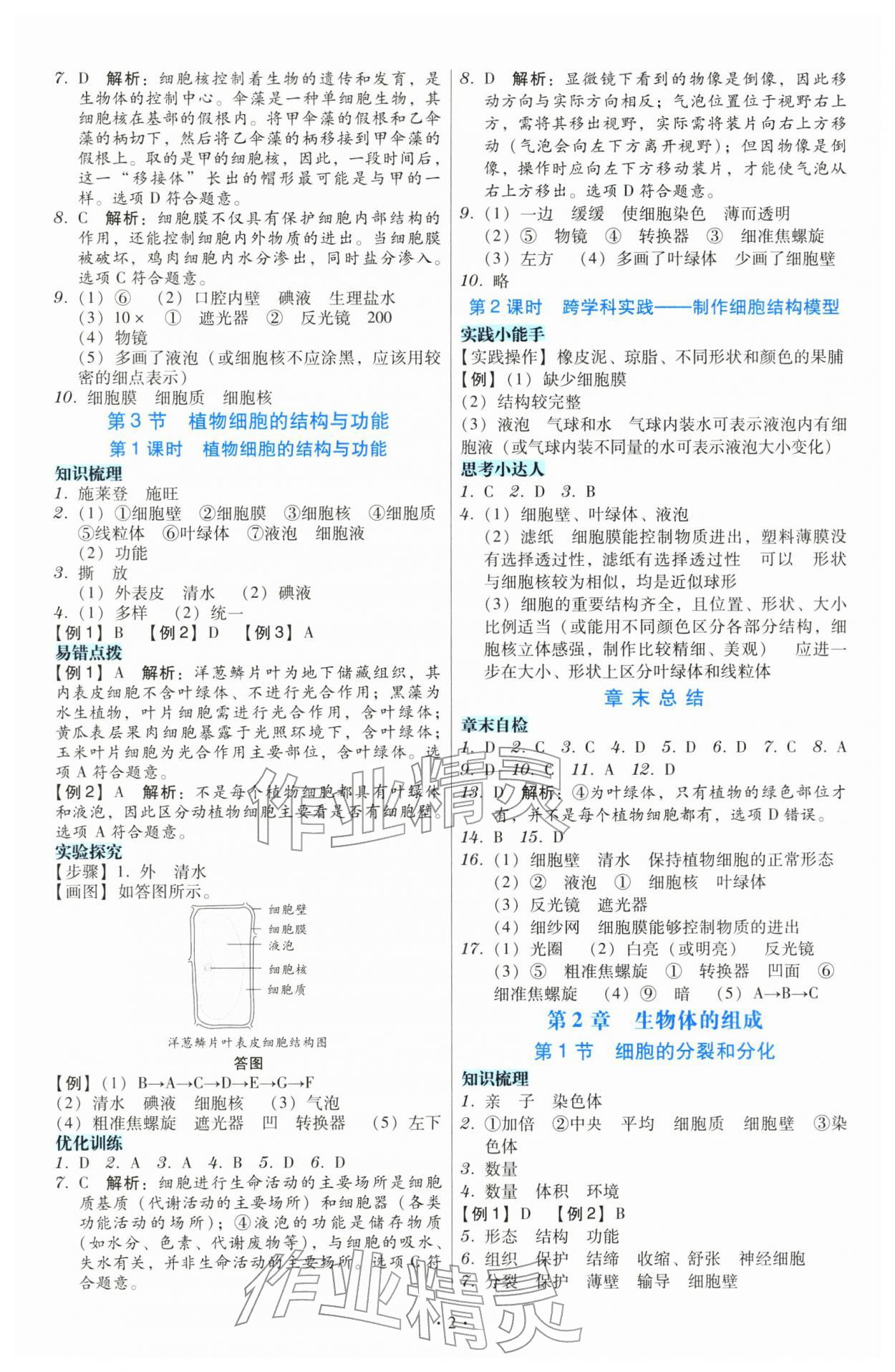 2025年金版学案同步优学智慧作业七年级生物上册苏教版 第2页