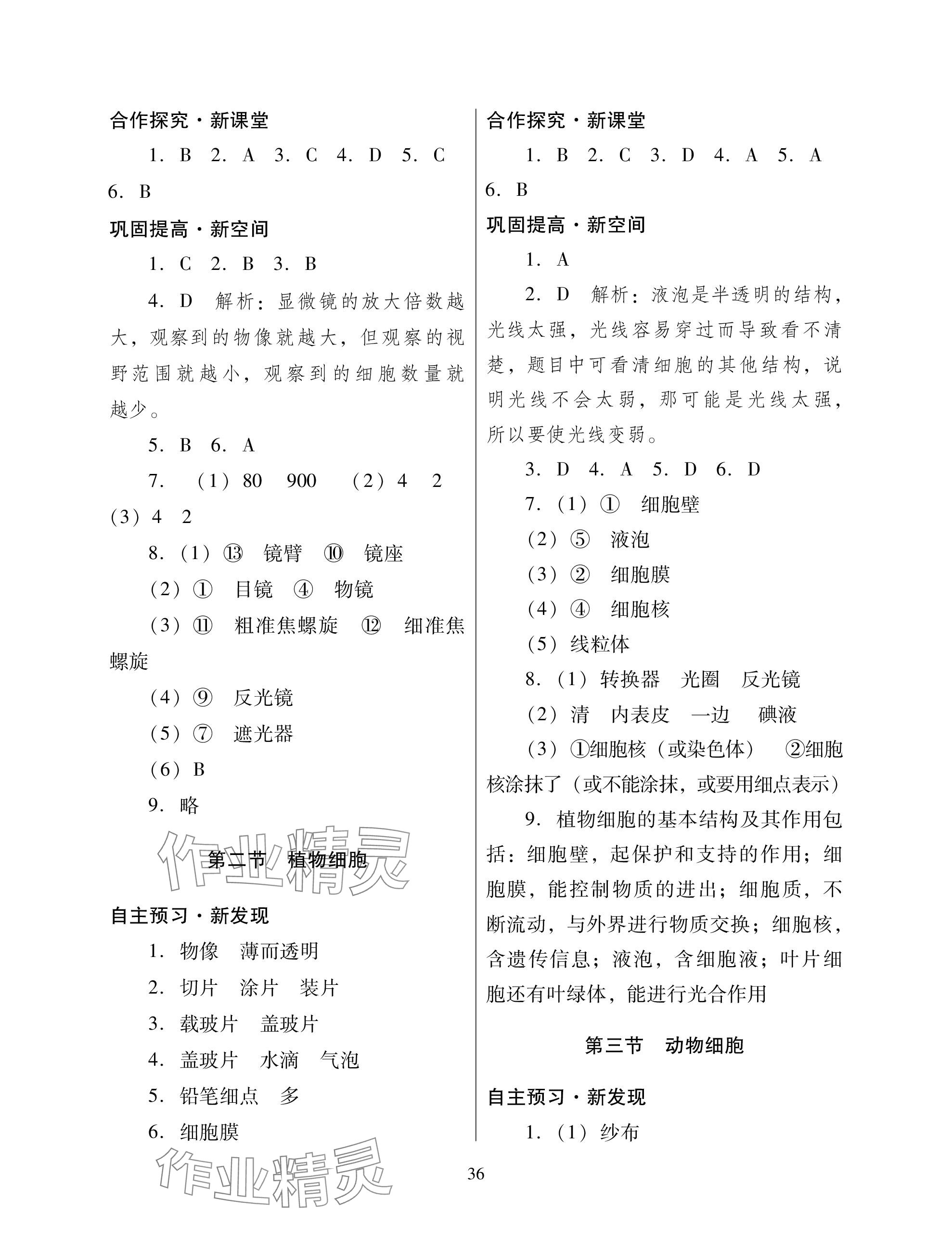 2023年南方新课堂金牌学案七年级生物上册人教版深圳专版 参考答案第4页