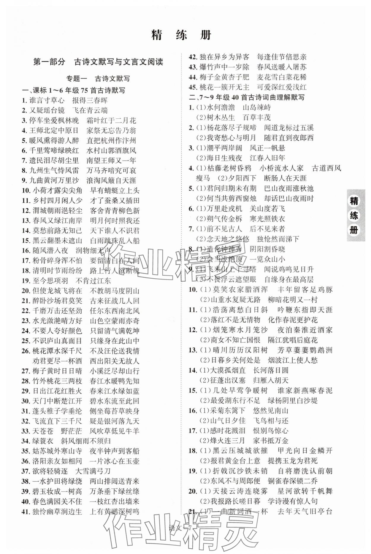 2025年皖智教育優(yōu)考設(shè)計(jì)語文中考人教版安徽專版 第7頁