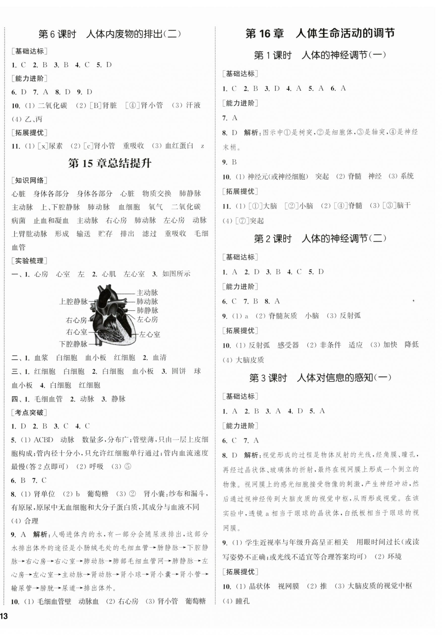 2024年金鑰匙提優(yōu)訓(xùn)練課課練八年級(jí)生物上冊(cè)蘇科版徐州專版 第2頁