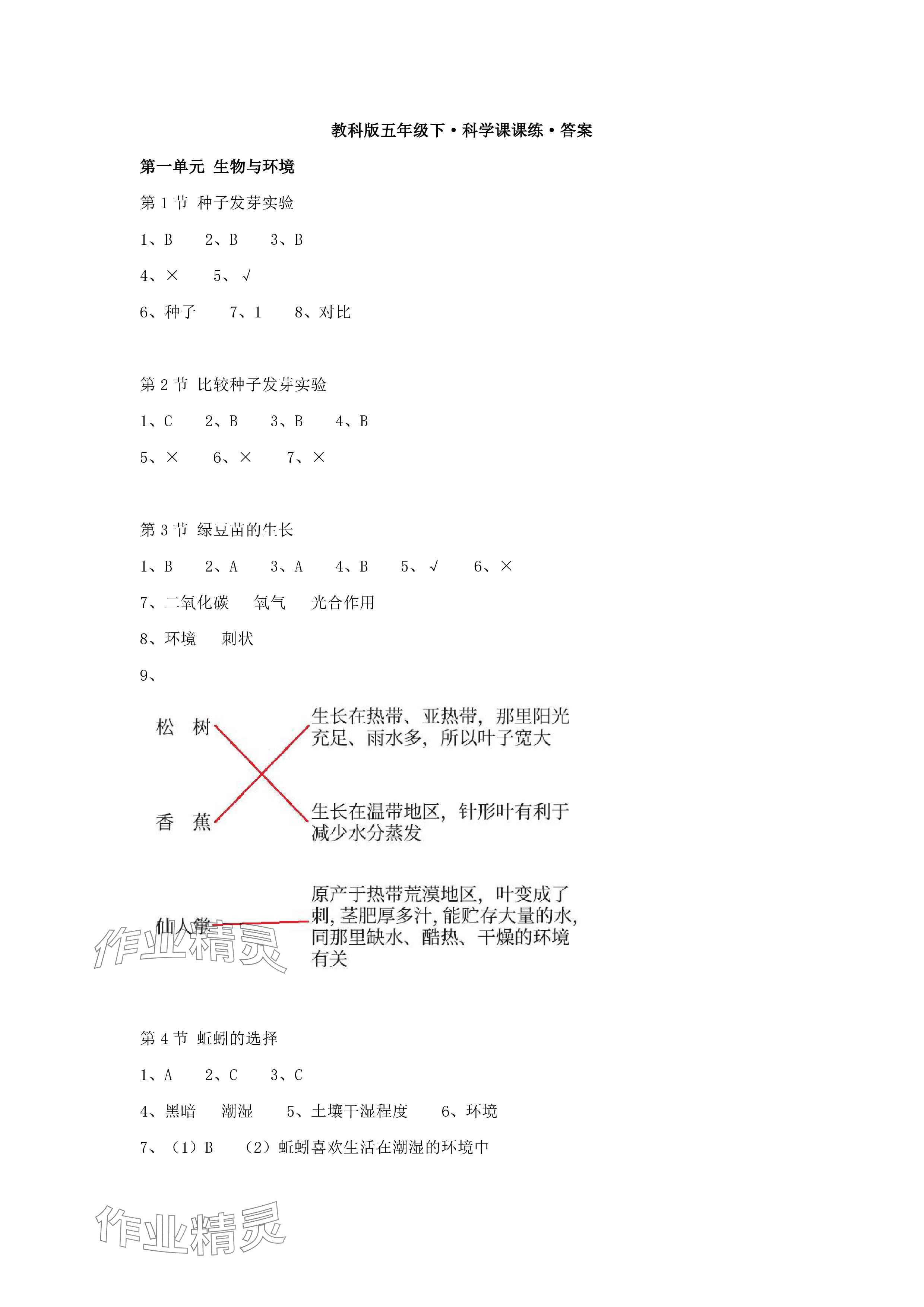 2025年科學課課練五年級下冊教科版 參考答案第1頁