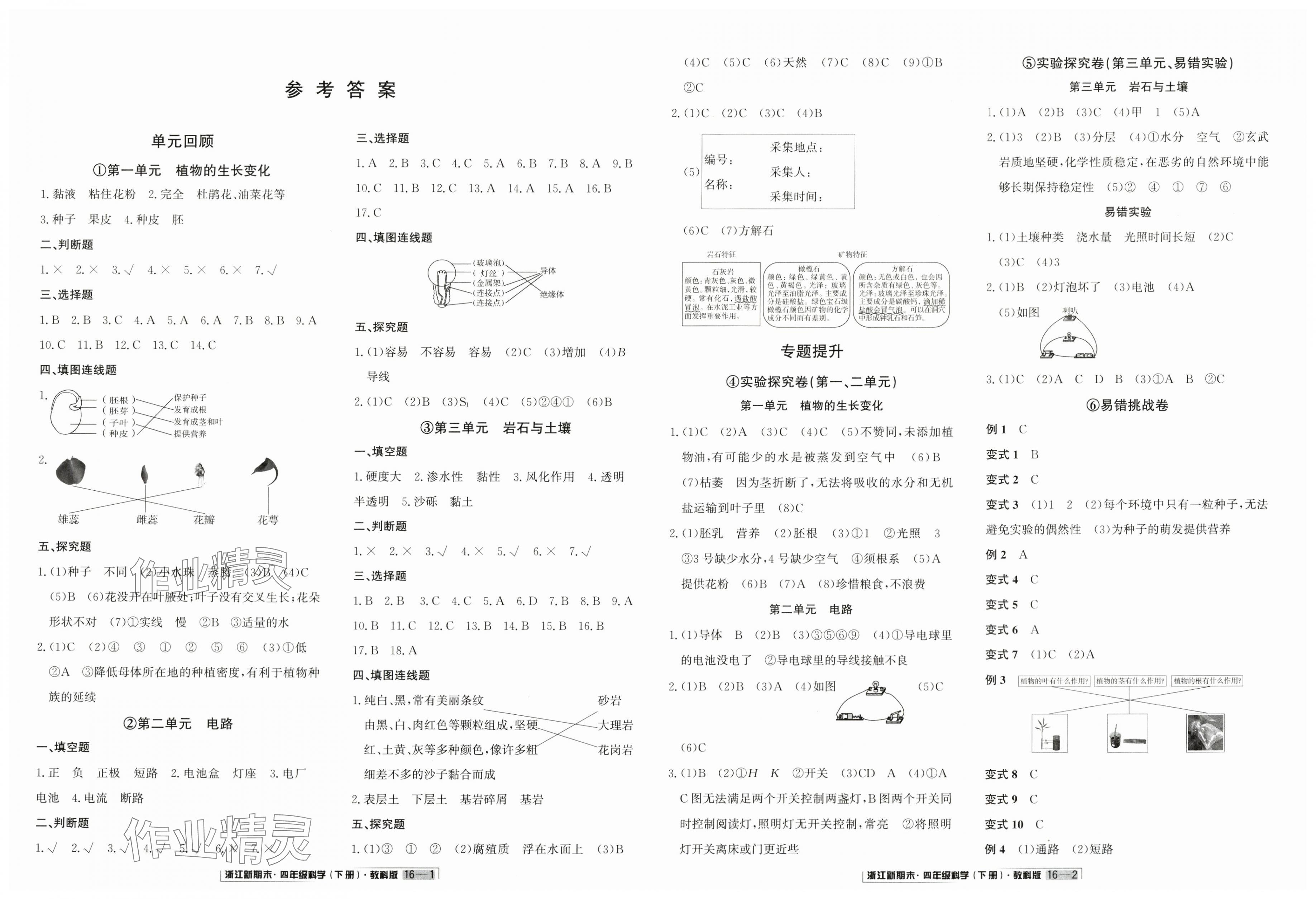 2025年勵耘書業浙江新期末四年級科學下冊教科版 第1頁