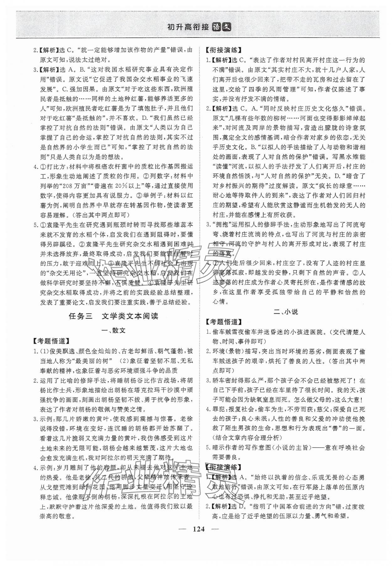 2025年优化方案初升高衔接九年级语文 第2页