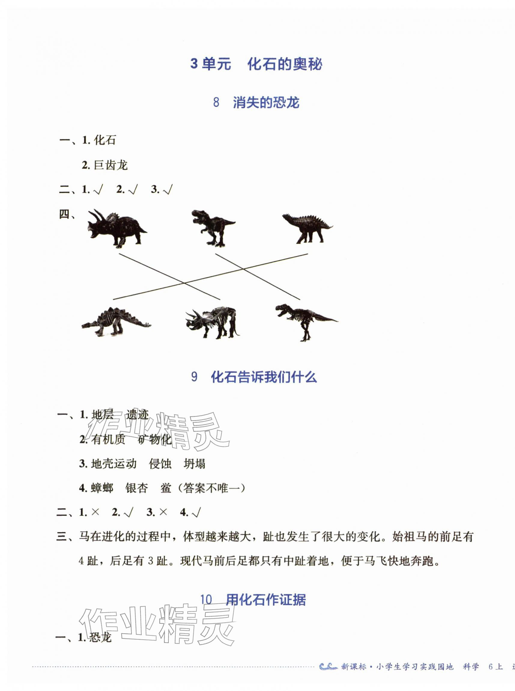 2025年学习实践园地六年级科学上册苏教版 第5页