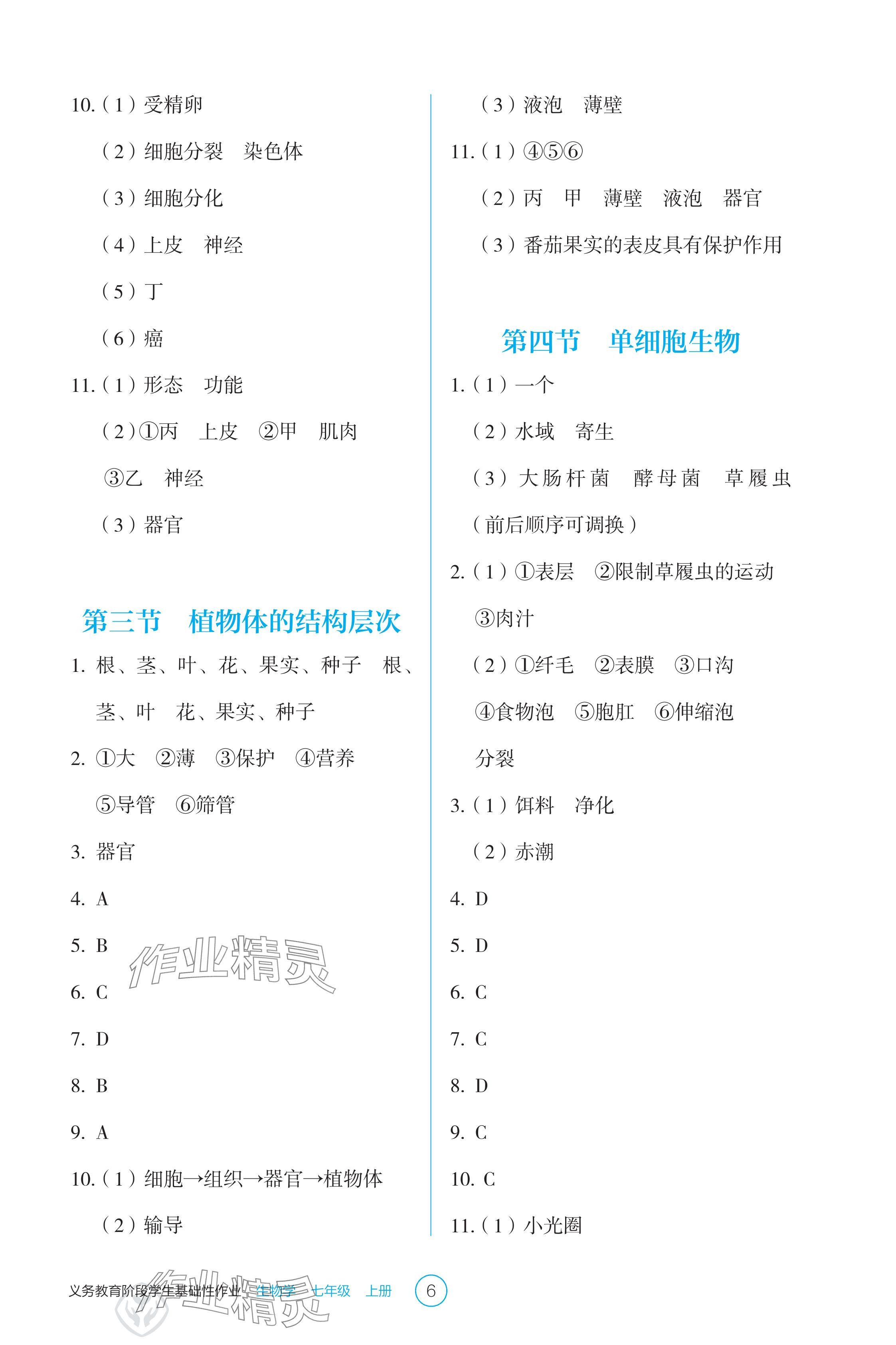 2025年学生基础性作业七年级生物上册人教版 参考答案第6页