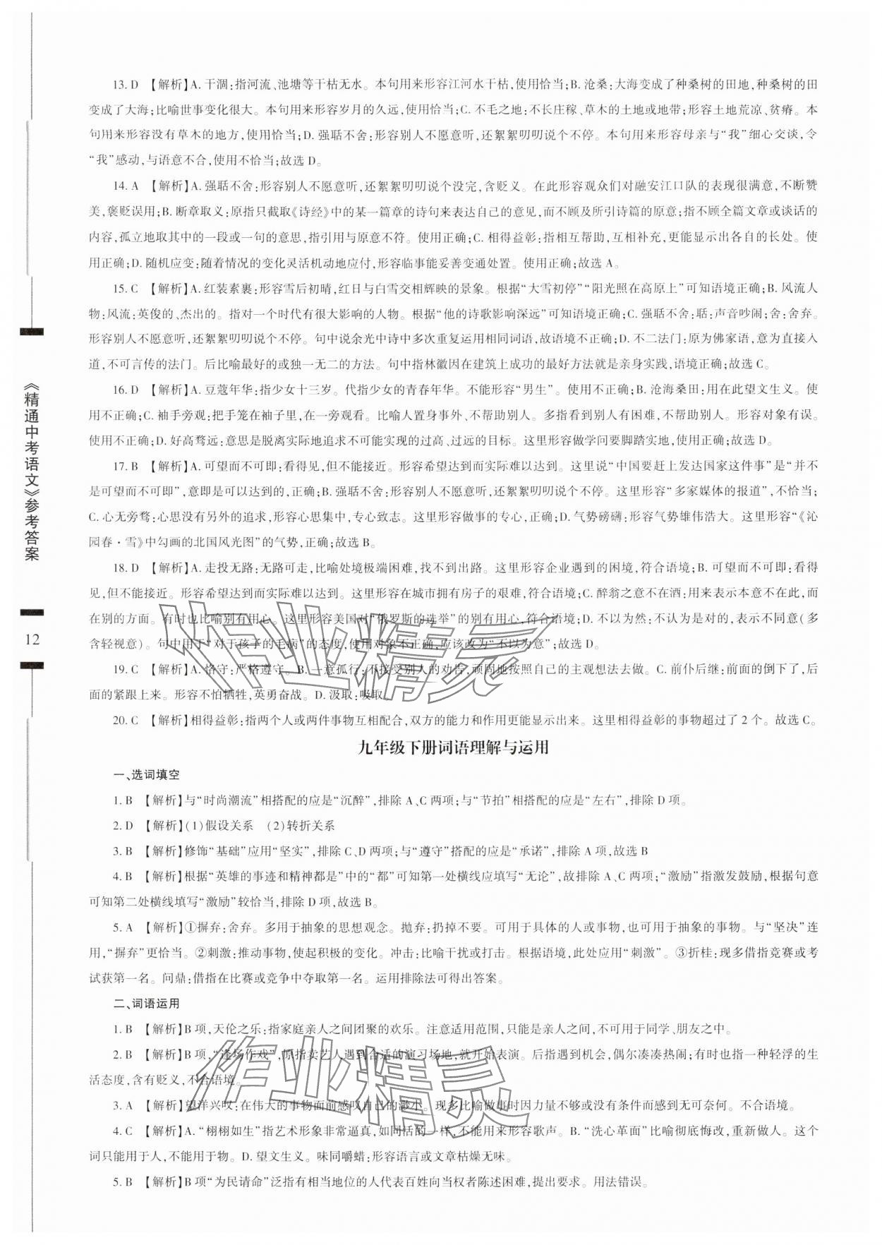 2024年精通中考語文基礎(chǔ)知識與試卷訓(xùn)練 第12頁