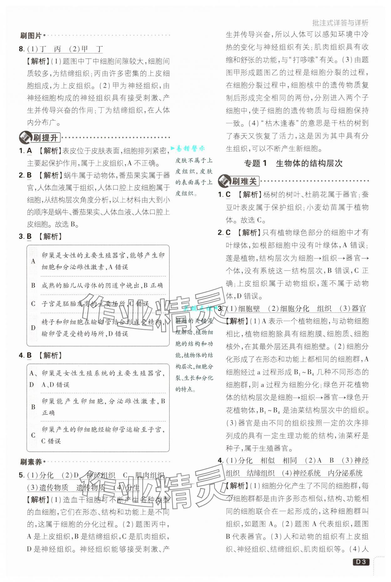 2025年初中必刷題七年級科學(xué)下冊浙教版浙江專版 參考答案第3頁