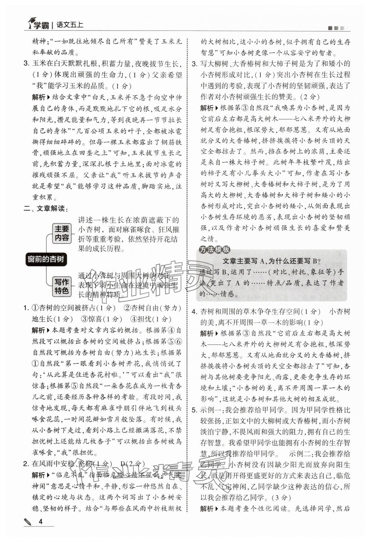 2025年學(xué)霸甘肅少年兒童出版社五年級(jí)語(yǔ)文上冊(cè)人教版 參考答案第4頁(yè)