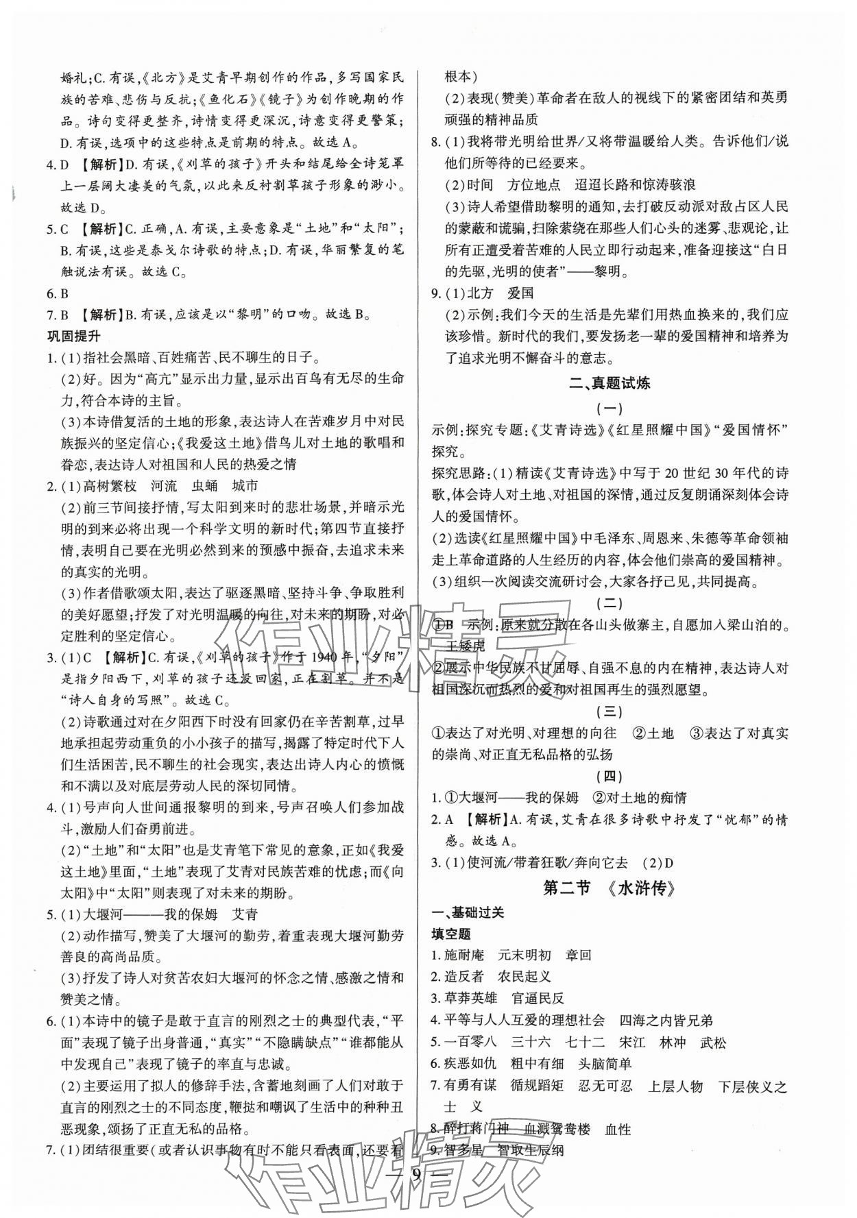 2023年基礎(chǔ)精練九年級語文全一冊人教版深圳專版 第9頁