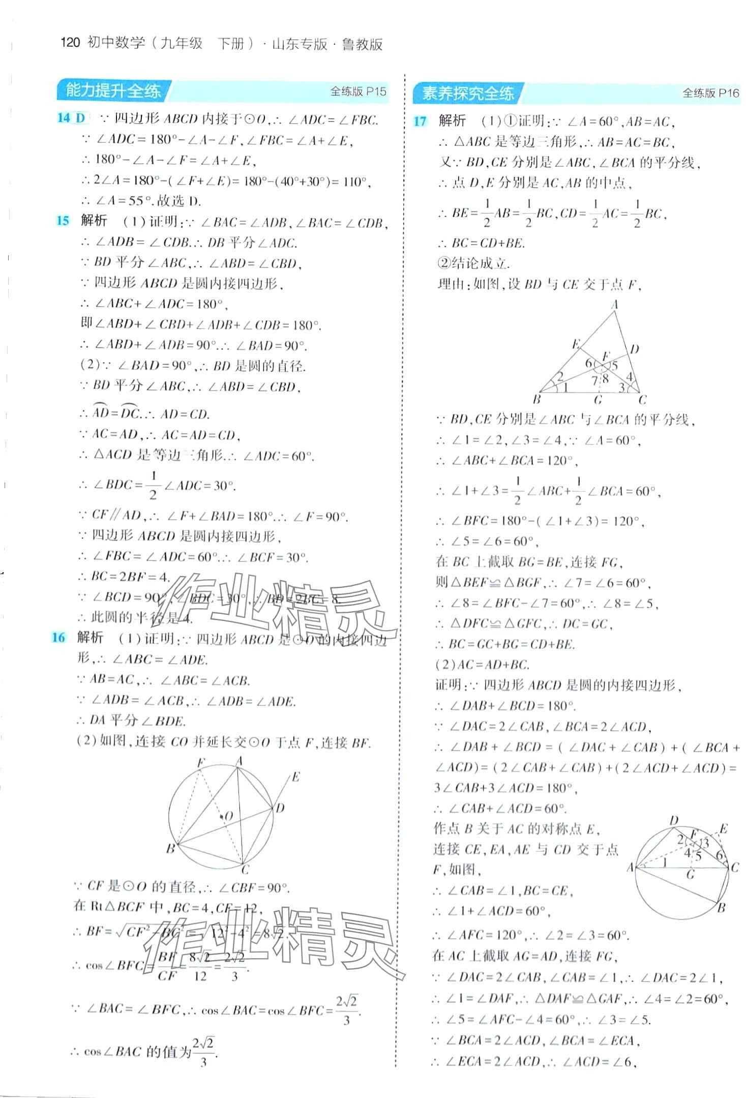 2024年5年中考3年模擬九年級(jí)數(shù)學(xué)下冊(cè)魯教版山東專版 第10頁