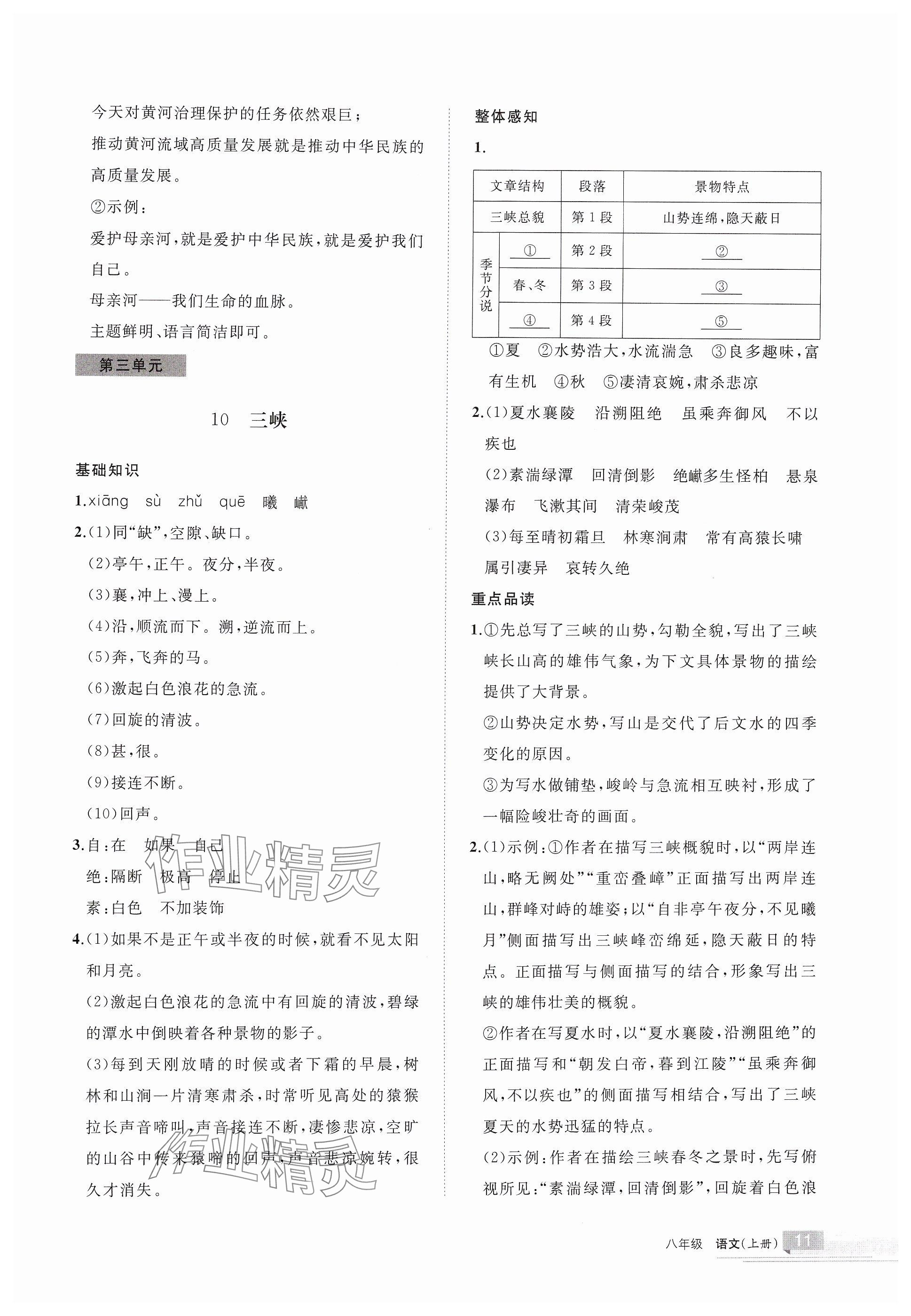 2024年学习之友八年级语文上册人教版 参考答案第11页