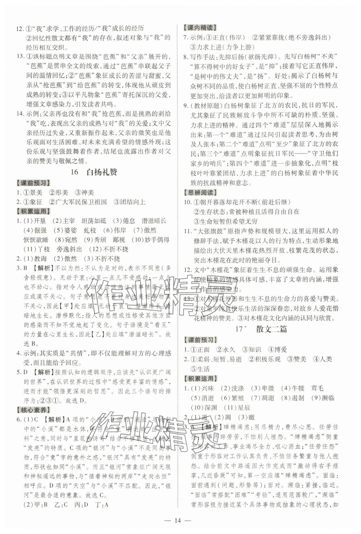 2025年同步?jīng)_刺八年級語文上冊人教版&nbsp;參考答案第14頁