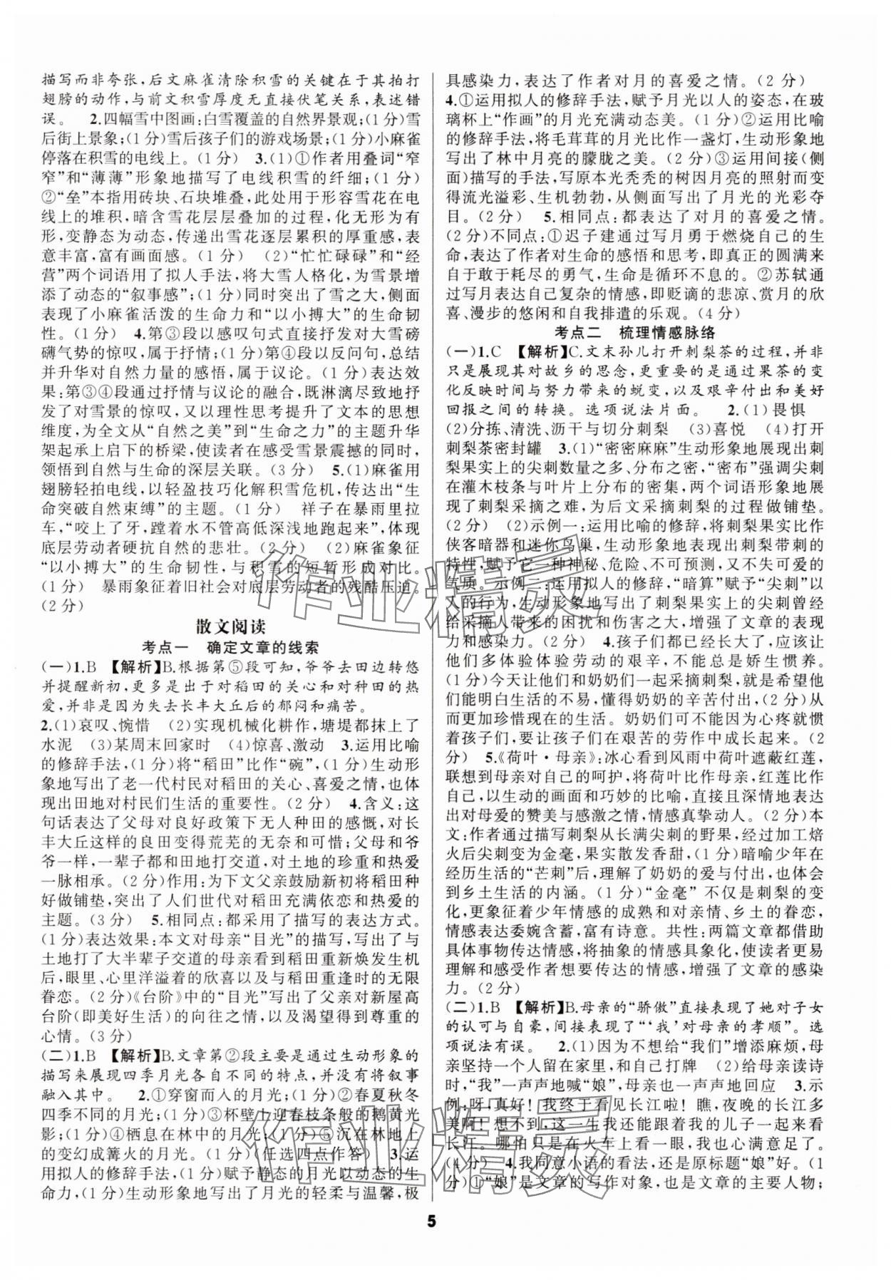 2025年语文花开现代文阅读九年级&nbsp;参考答案第5页