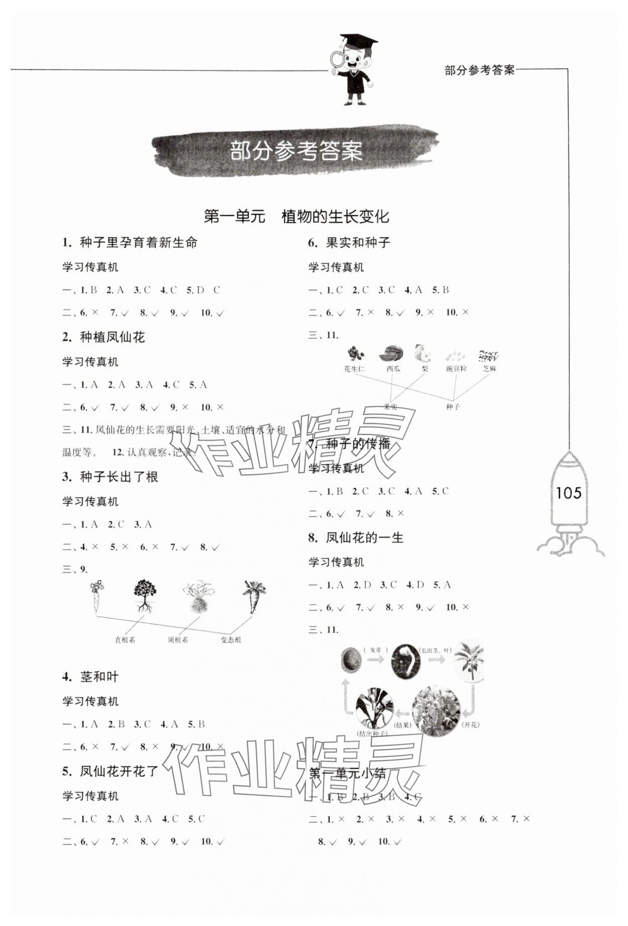 2024年小学科学习作四年级下册教科版增强版 第1页