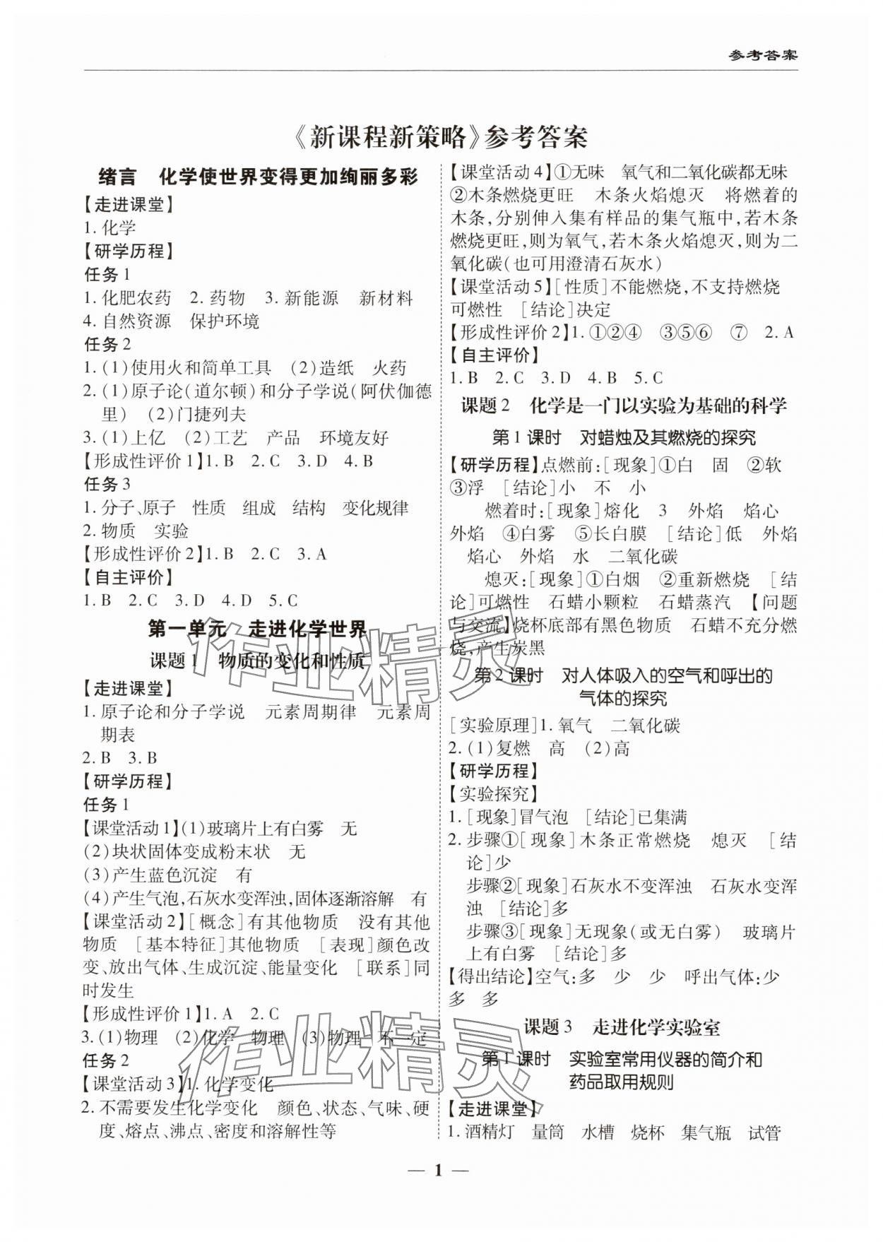 2023年新課程新策略復(fù)習(xí)篇九年級(jí)化學(xué) 第1頁(yè)