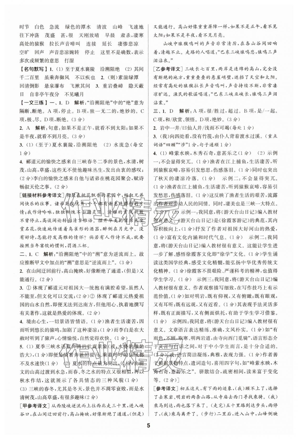 2025年拔尖特训八年级语文上册人教版 第5页