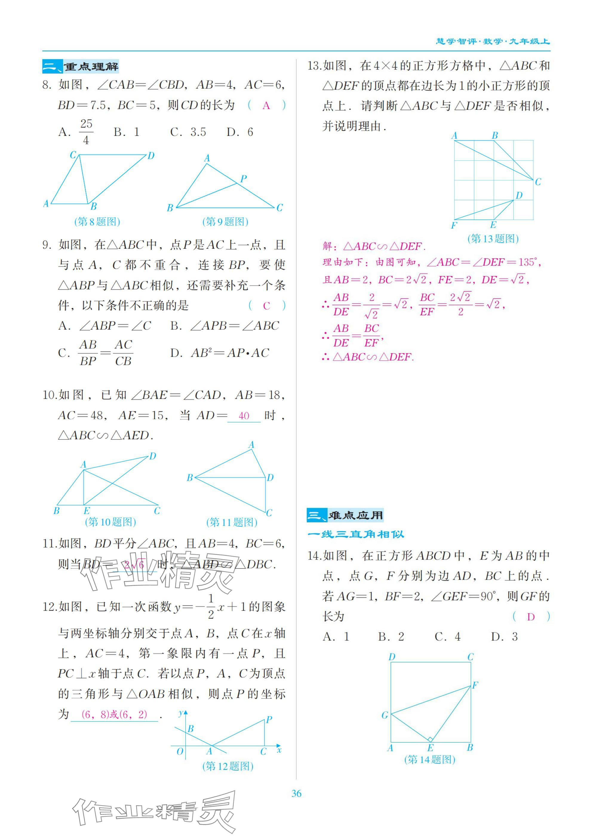 2025年慧學智評九年級數學上冊北師大版 參考答案第36頁