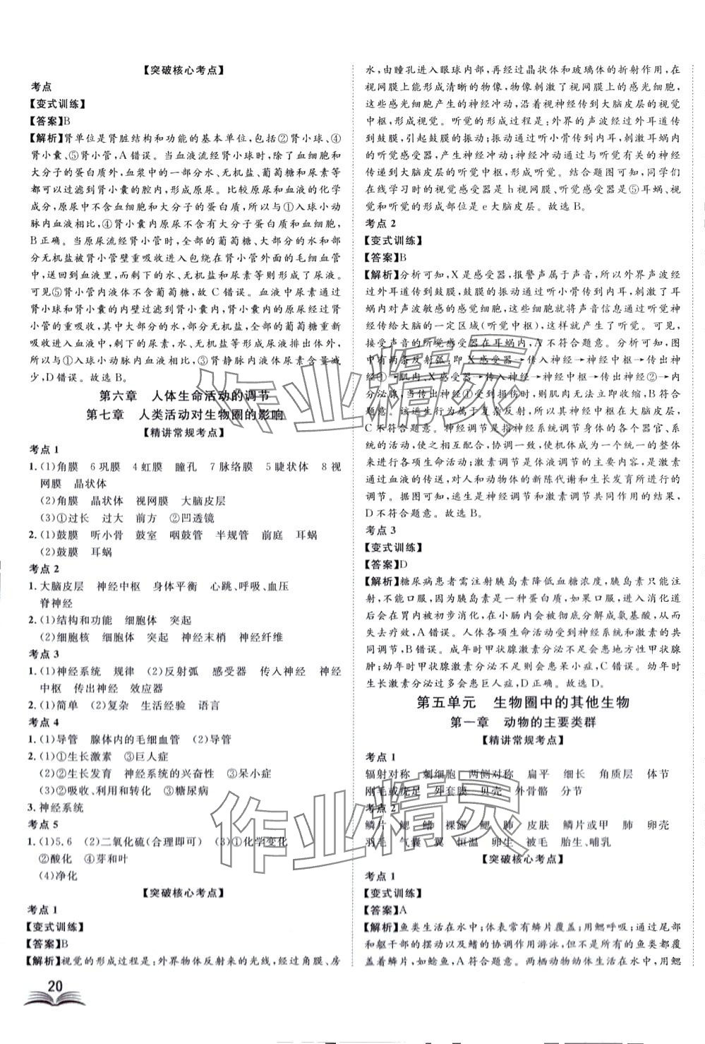 2024年高分計(jì)劃生物 第7頁