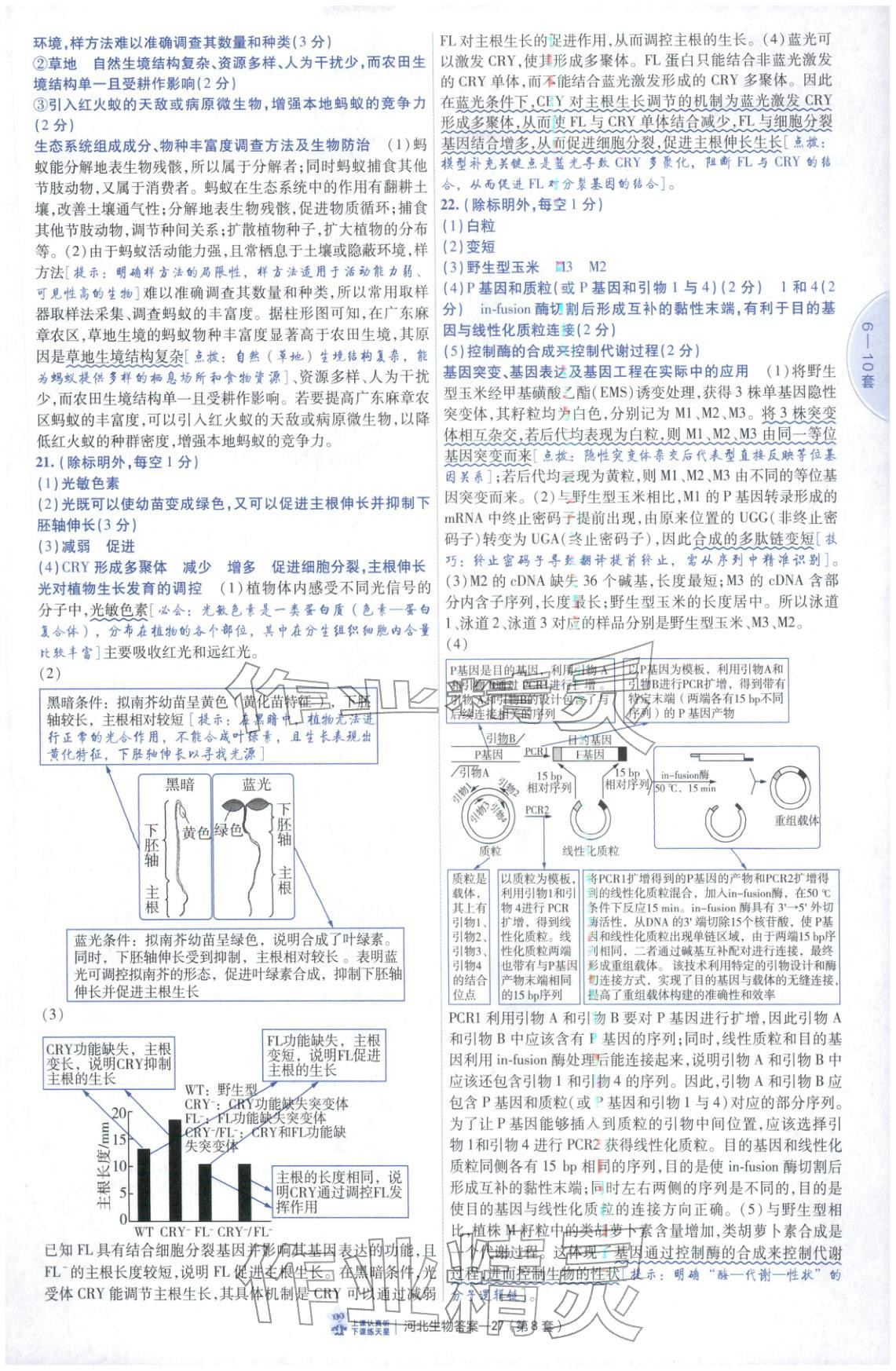 2026年金考卷优秀模拟试卷汇编45套高中生物河北专版 第27页
