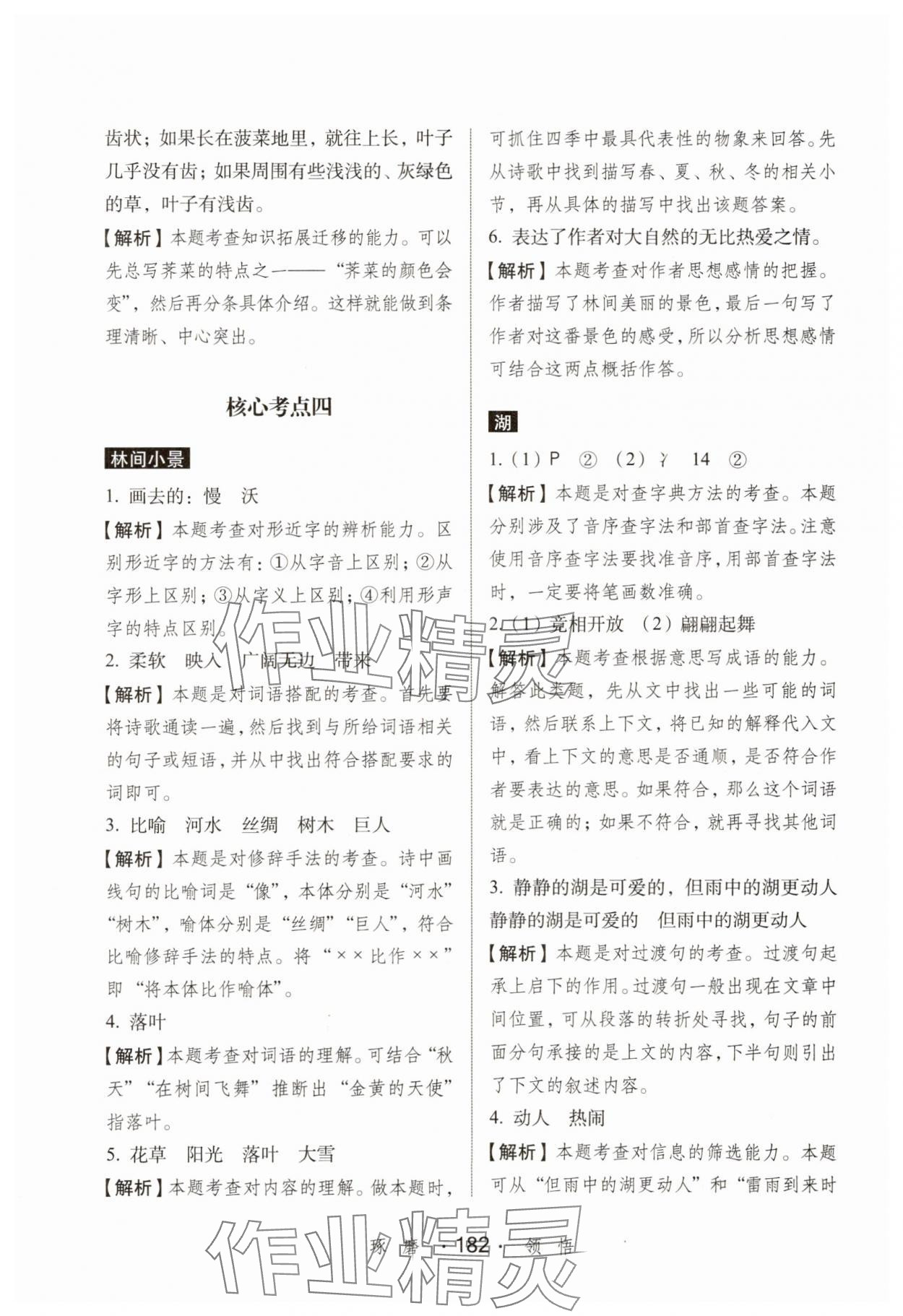 2025年小学语文考试阅读真题精选专练详解三年级人教版&nbsp;第8页