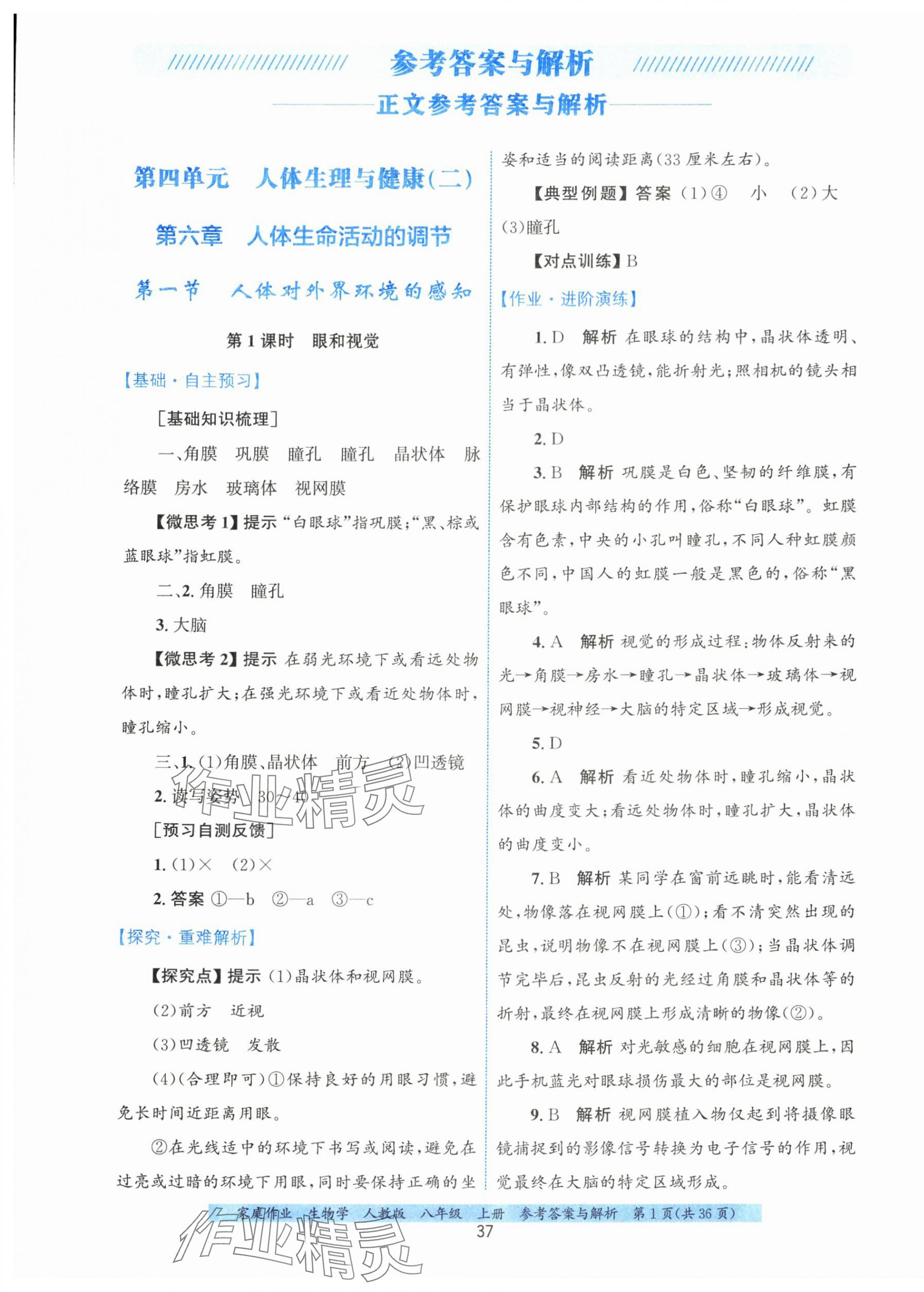 2025年家庭作业八年级生物上册人教版 第1页