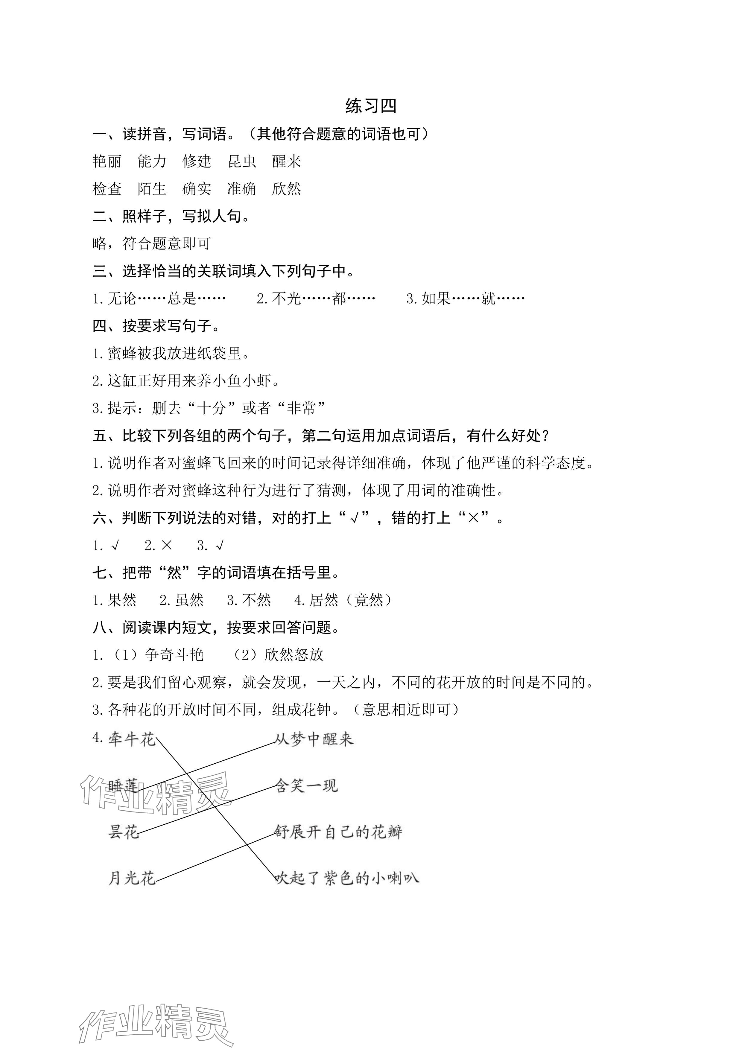 2024年鹏教图书精彩假期暑假篇三年级&nbsp;参考答案第4页